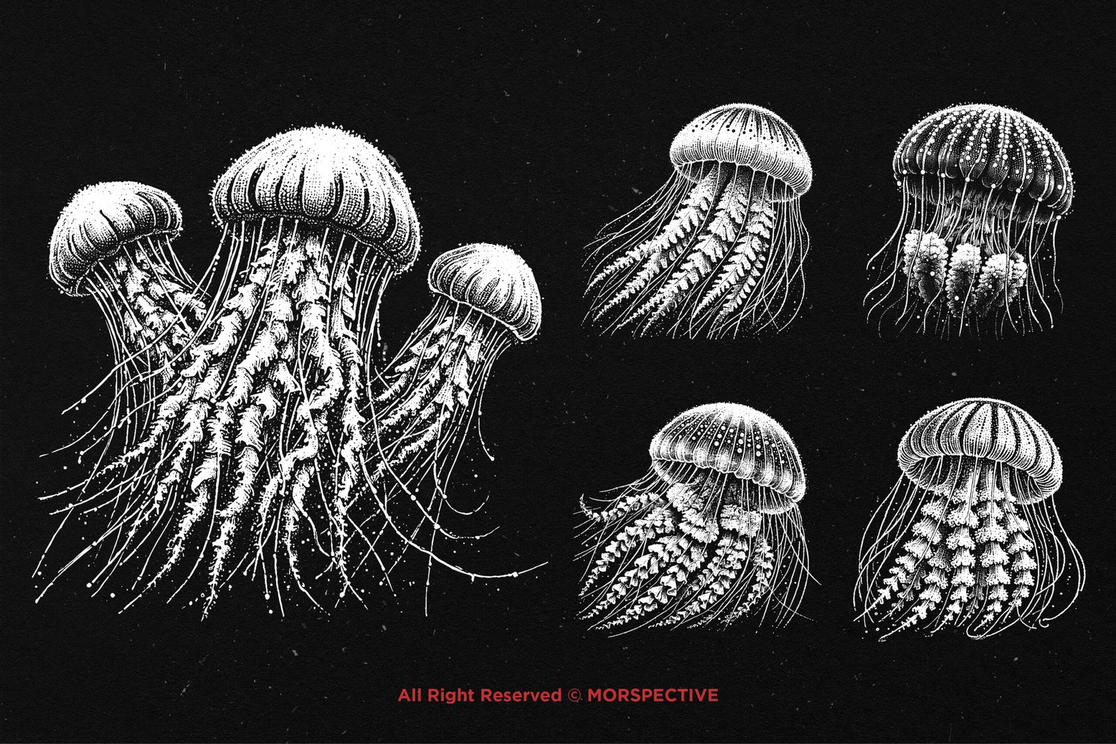 10 Bundle Dark Art Jellyfish 3 10 Bundle Dark Art Jellyfish - Image 3