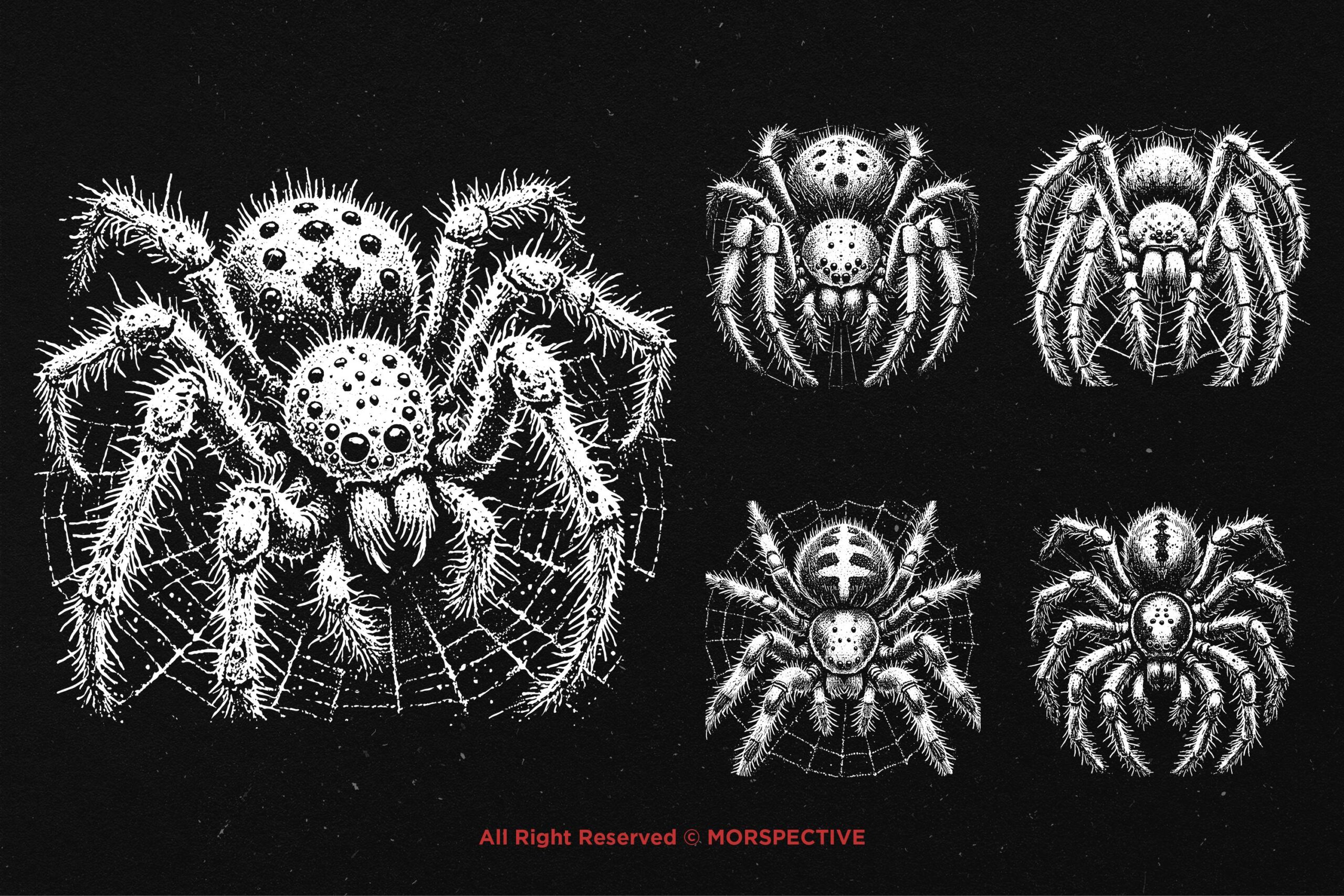10 Bundle Dark Art Spider - Image 3