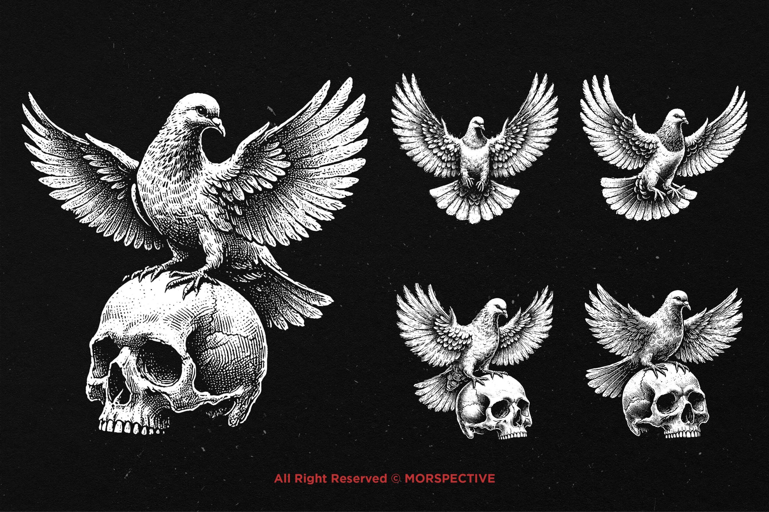 10 Bundle Dark Art Dove Standing on Skull 3 10 Bundle Dark Art Dove Standing on Skull - Image 3