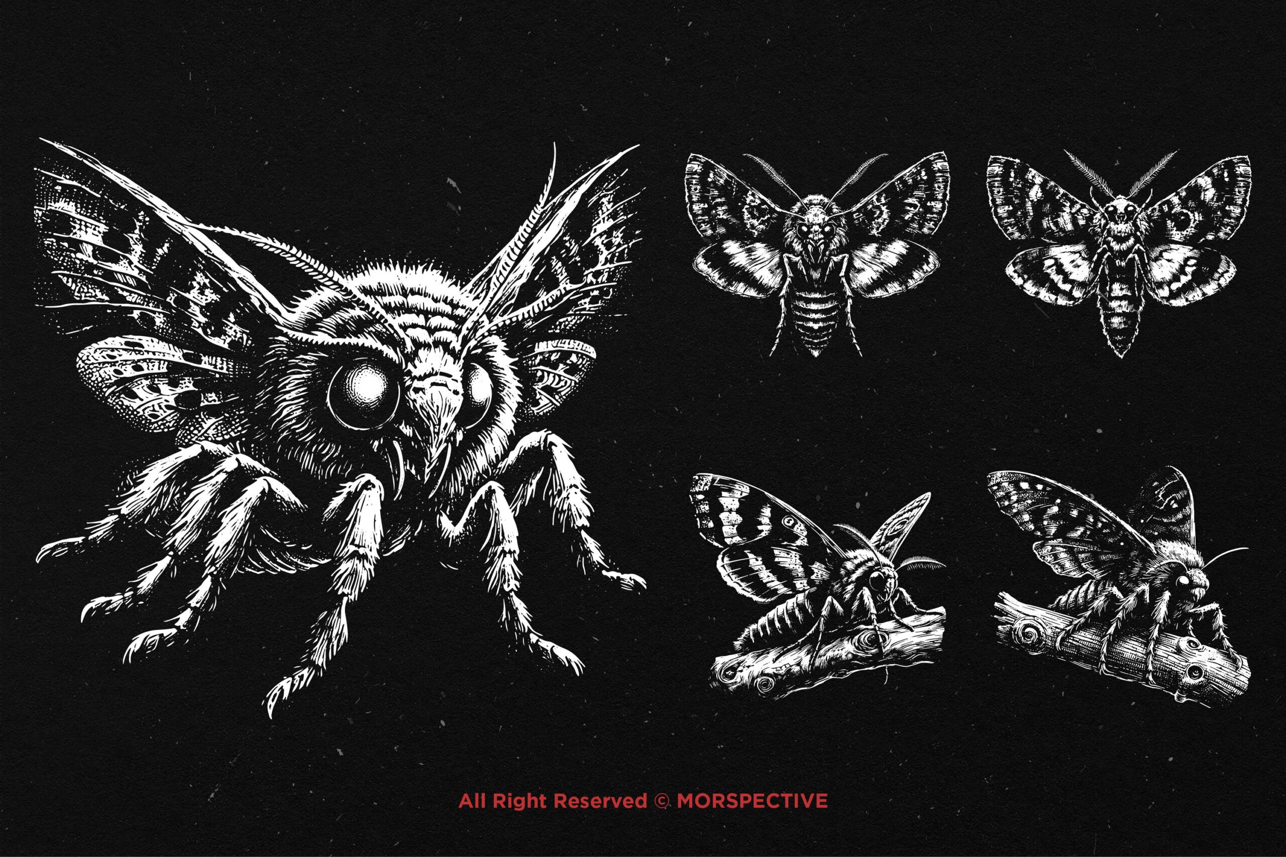10 Bundle Dark Art Moth - Image 3