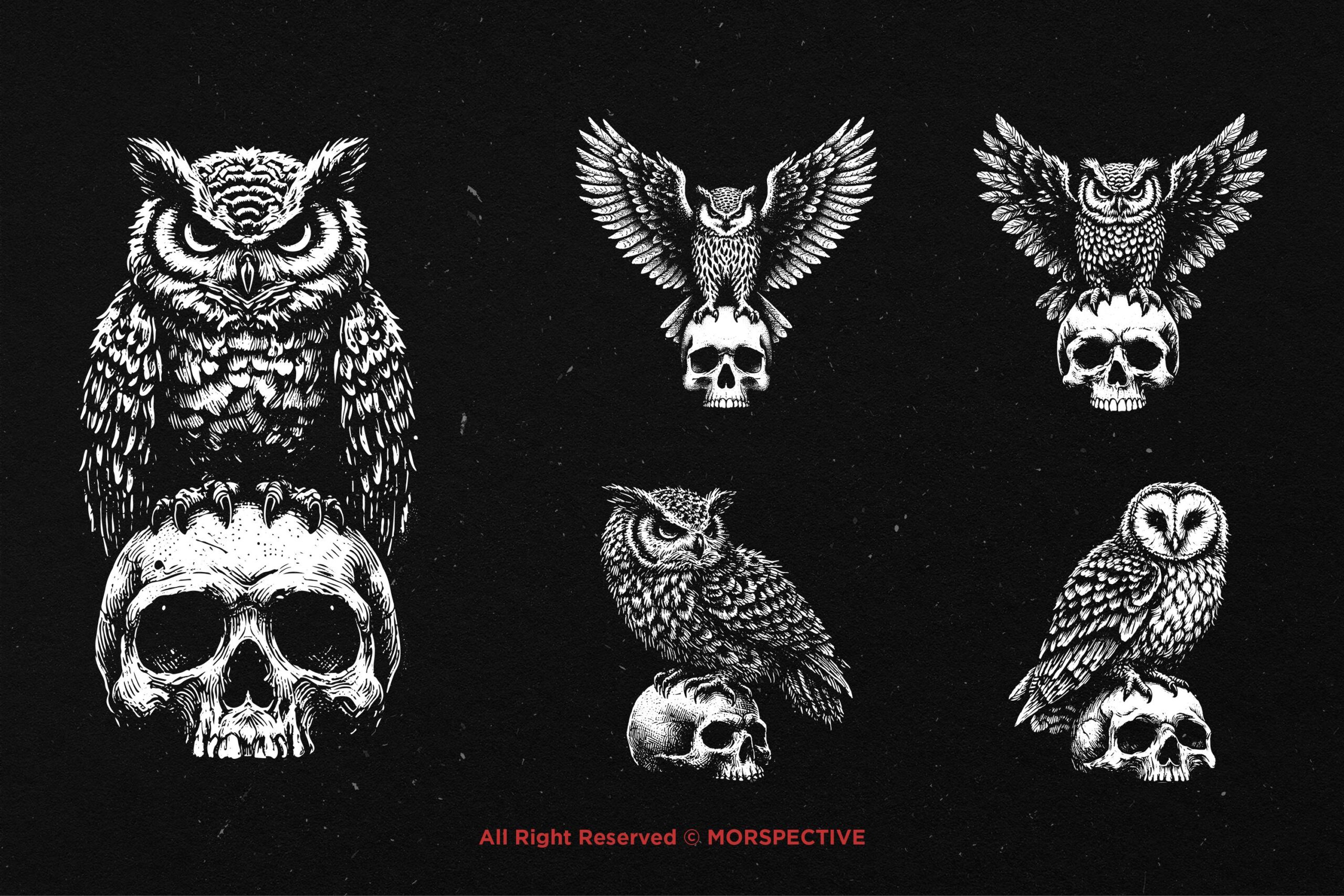 10 Bundle Dark Art Owl Bird Skull - Image 3