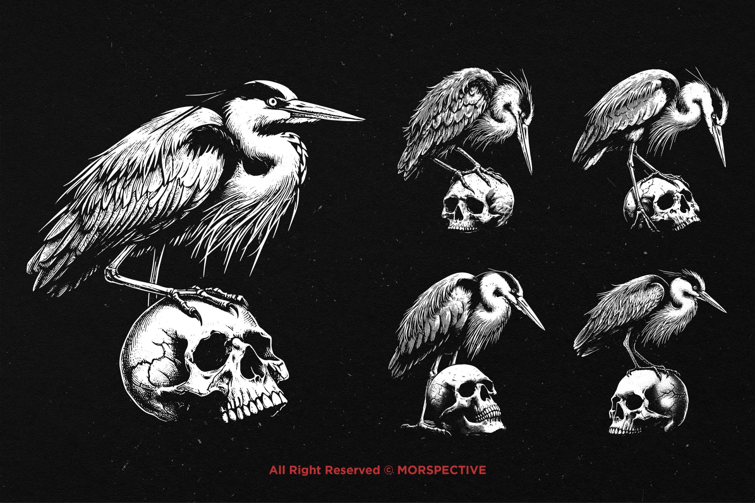 10 Bundle Dark Art Heron Bird Skull - Image 3