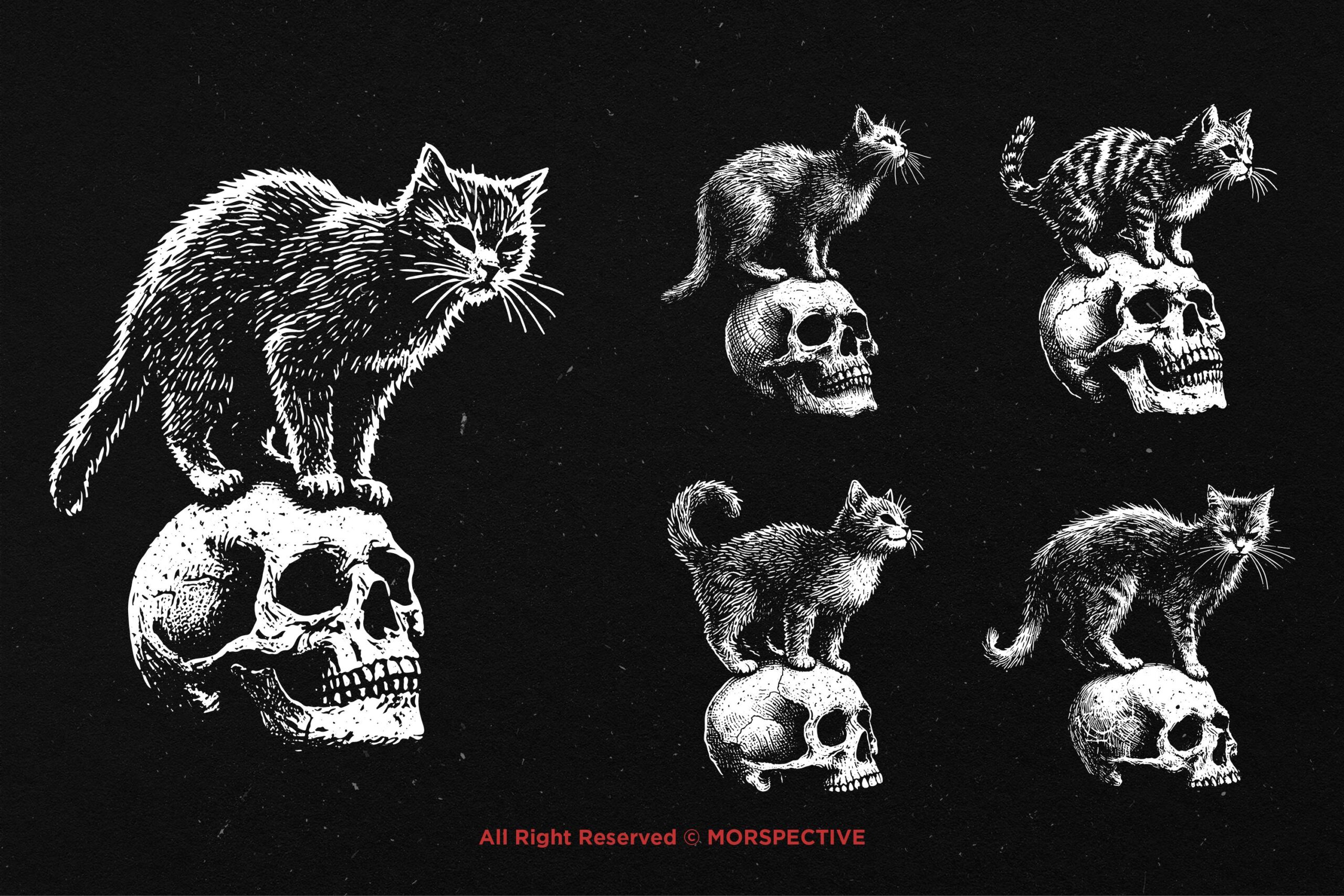 10 Bundle Dark Art Skull Cat - Image 3