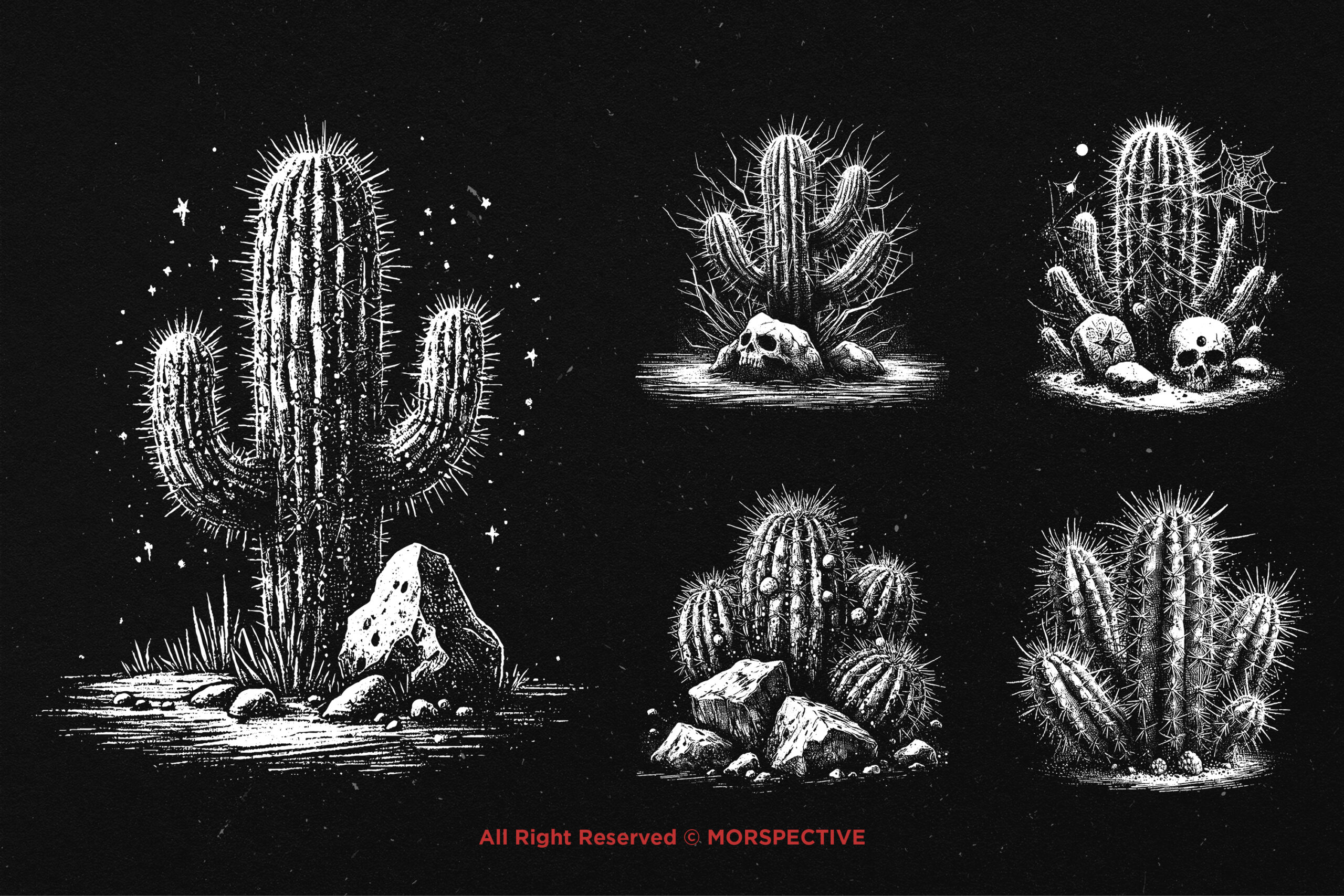 10 Bundle Dark Art Cactus Plant - Image 3