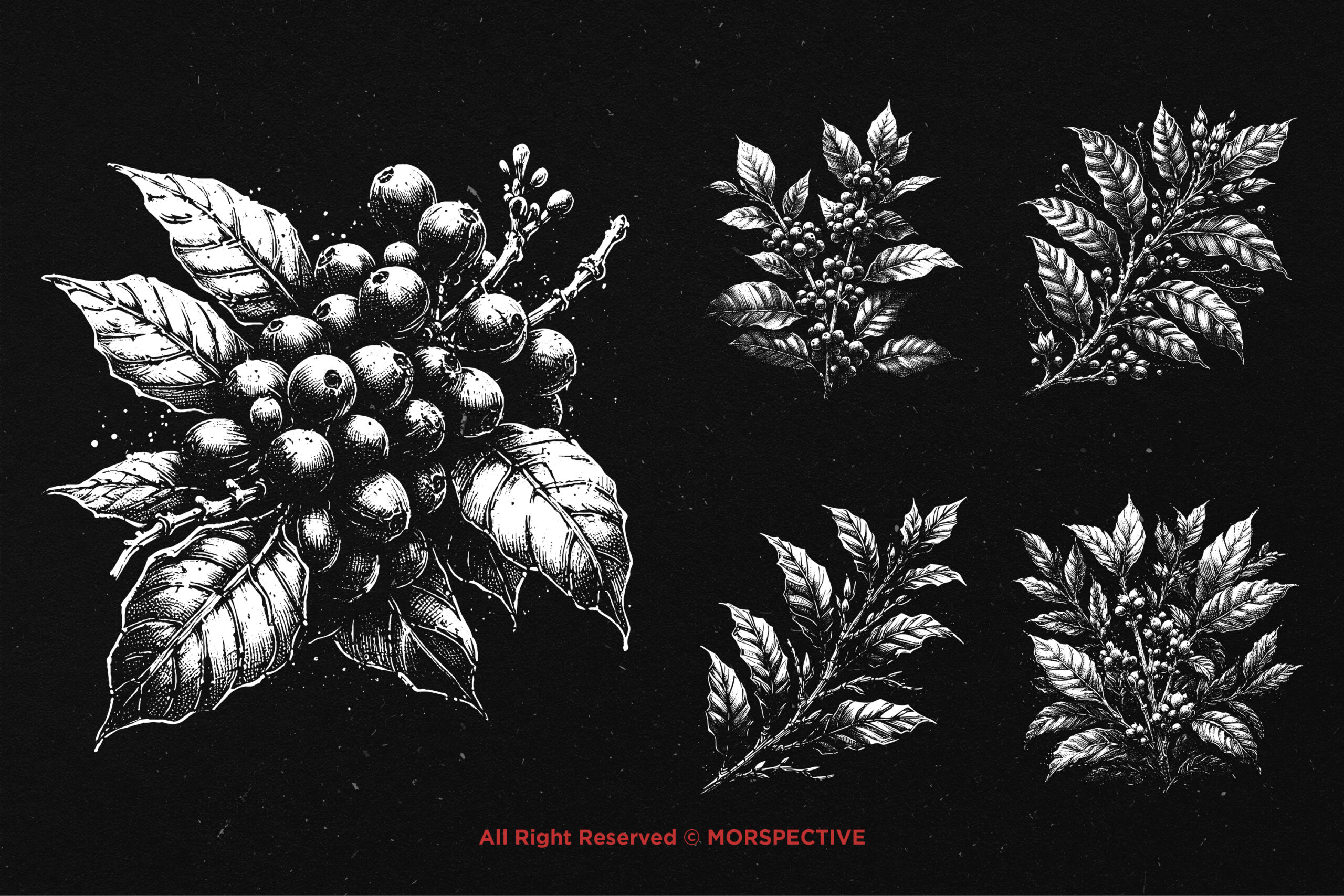 10 Bundle Dark Art Coffee Tree - Image 3
