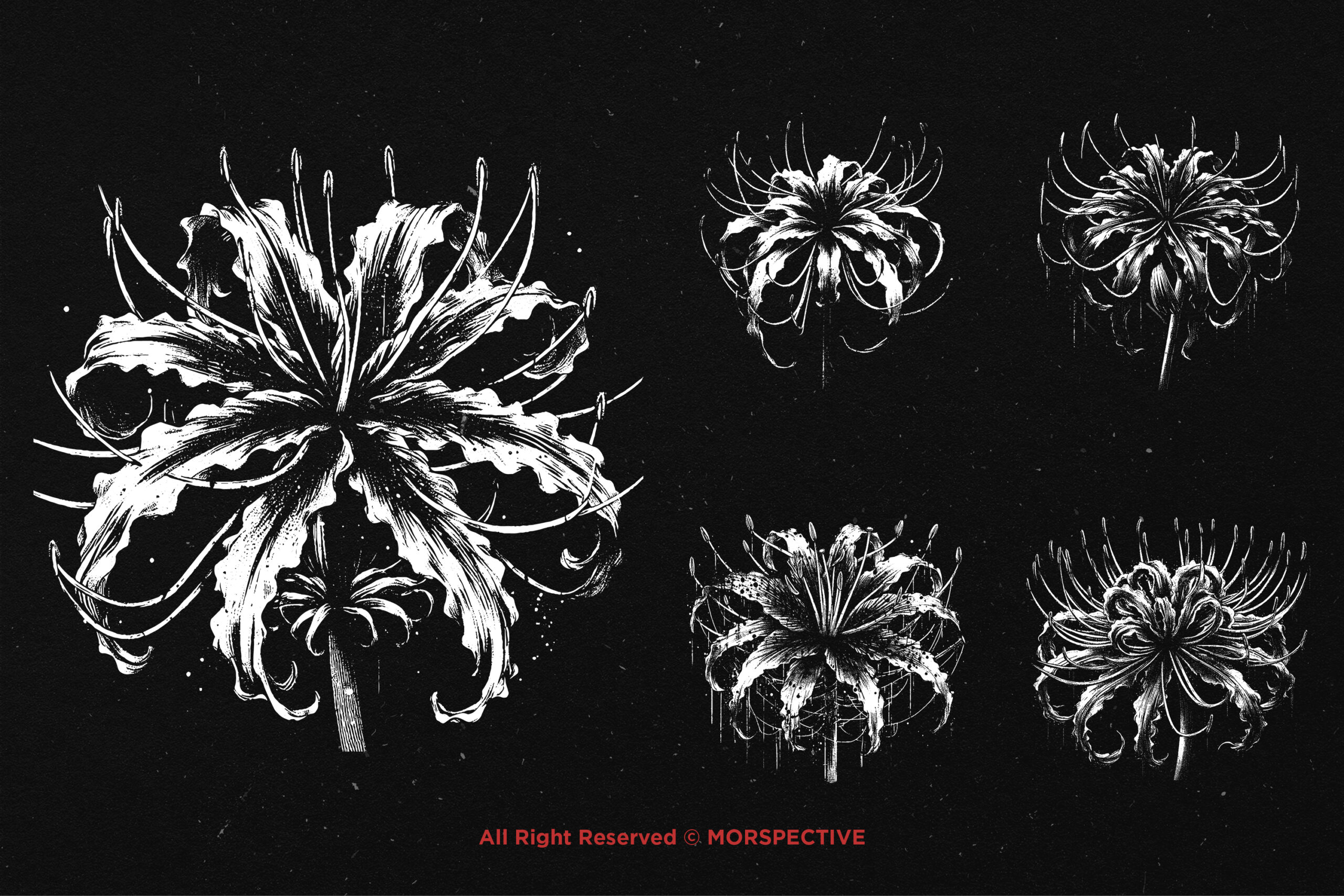 10 Bundle Dark Art Spider Lily Flower - Image 3
