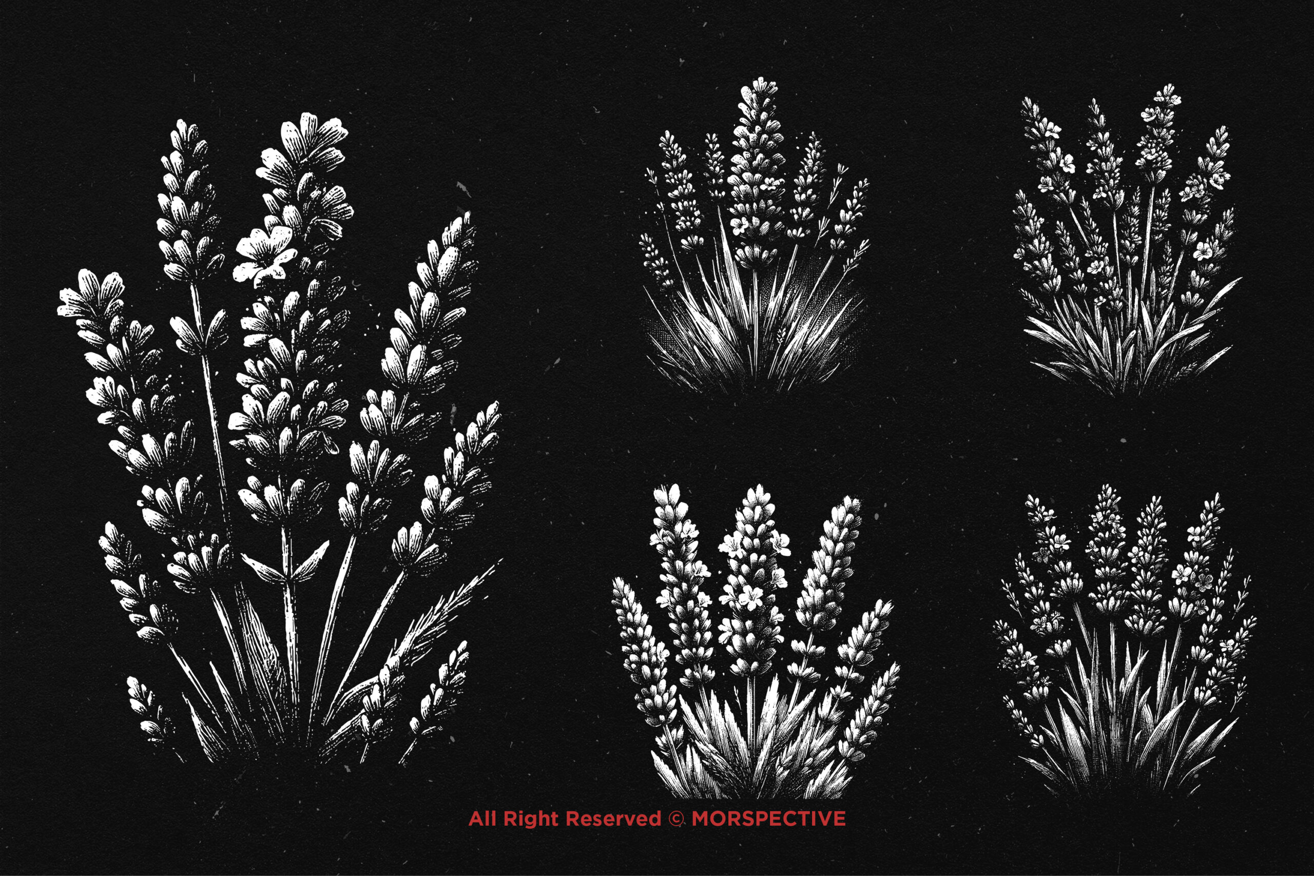 10 Bundle Dark Art Lavender Flower 3 10 Bundle Dark Art Lavender Flower - Image 3