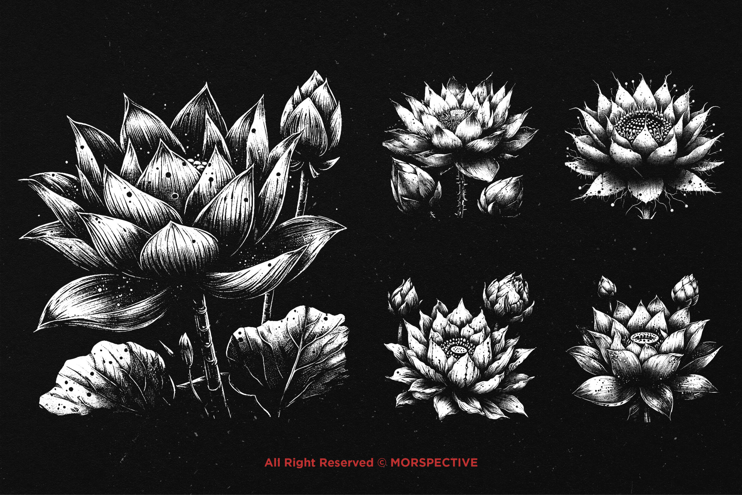 10 Bundle Dark Art Lotus Flower 3 10 Bundle Dark Art Lotus Flower - Image 3