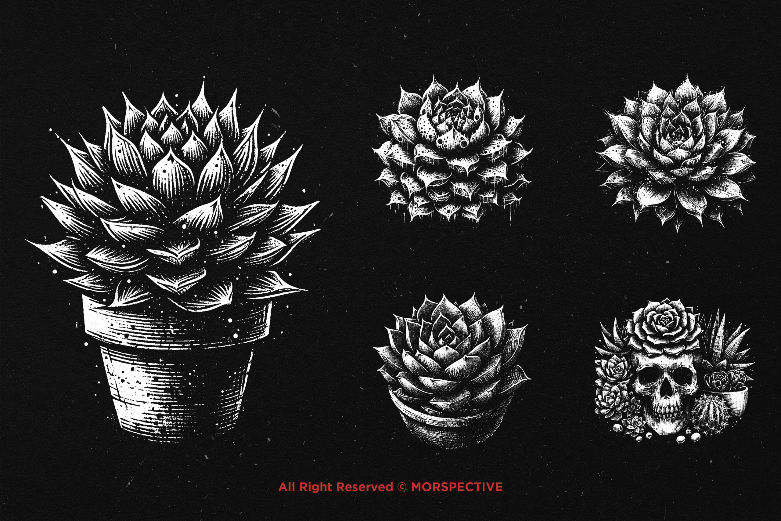 10 Bundle Dark Art Succulent Cactus 3 10 Bundle Dark Art Succulent Cactus - Image 3
