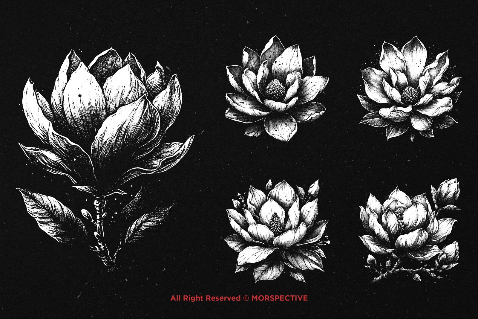 10 Bundle Dark Art Magnolia Flower 3 10 Bundle Dark Art Magnolia Flower - Image 3