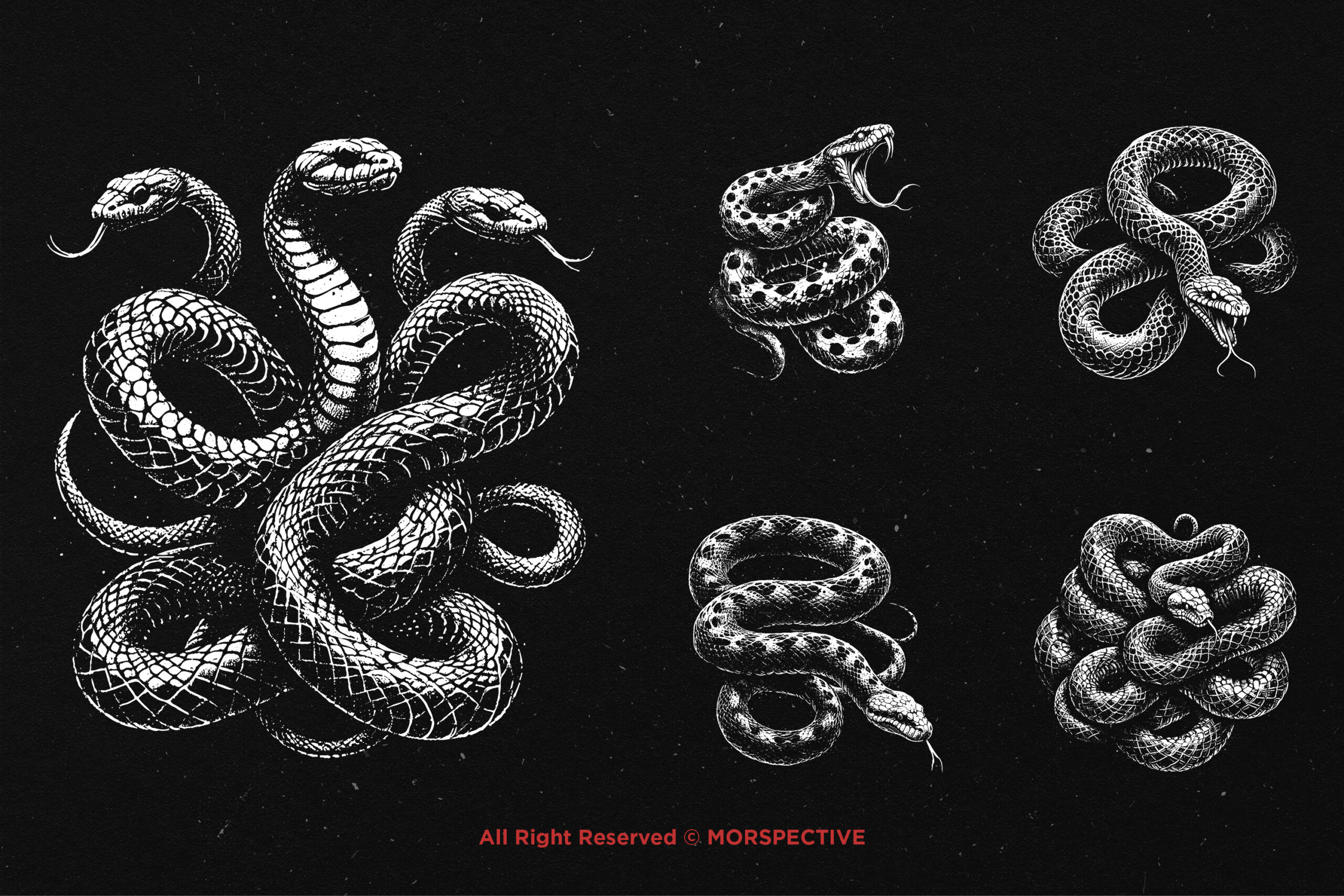 10 Bundle Dark Art Python Snake 3 10 Bundle Dark Art Python Snake - Image 3