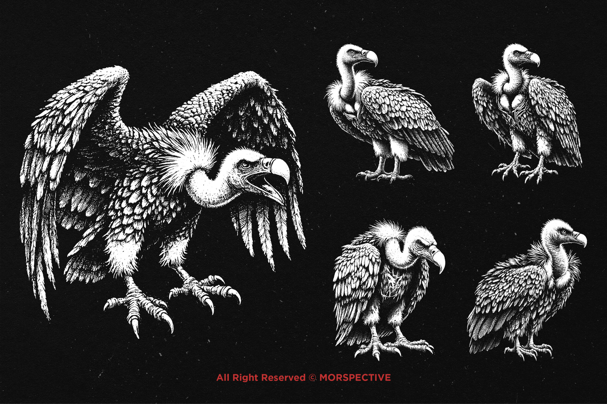 10 Bundle Dark Art Vultur Bird 3 10 Bundle Dark Art Vultur Bird - Image 3