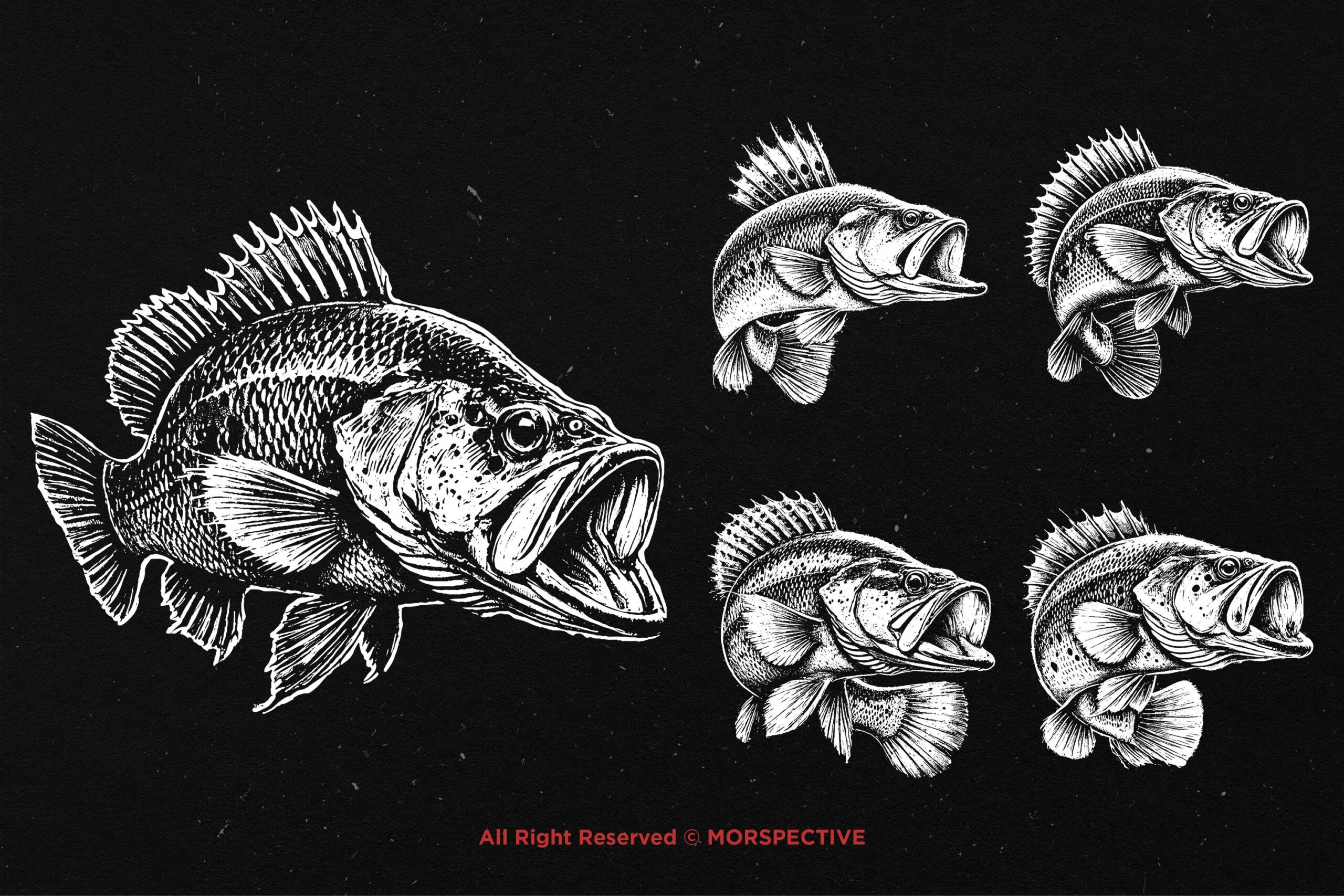10 Bundle Dark Art Peacock Fishing Bass 4 10 Bundle Dark Art Peacock Fishing Bass - Image 4