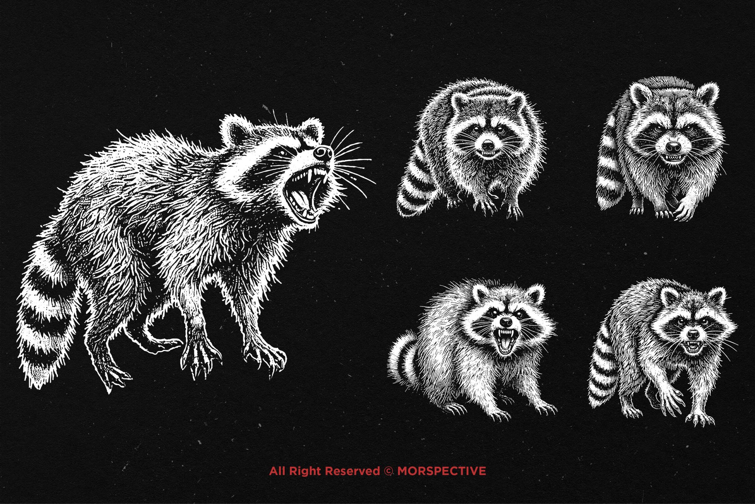 10 Bundle Dark Art Racoon - Image 4