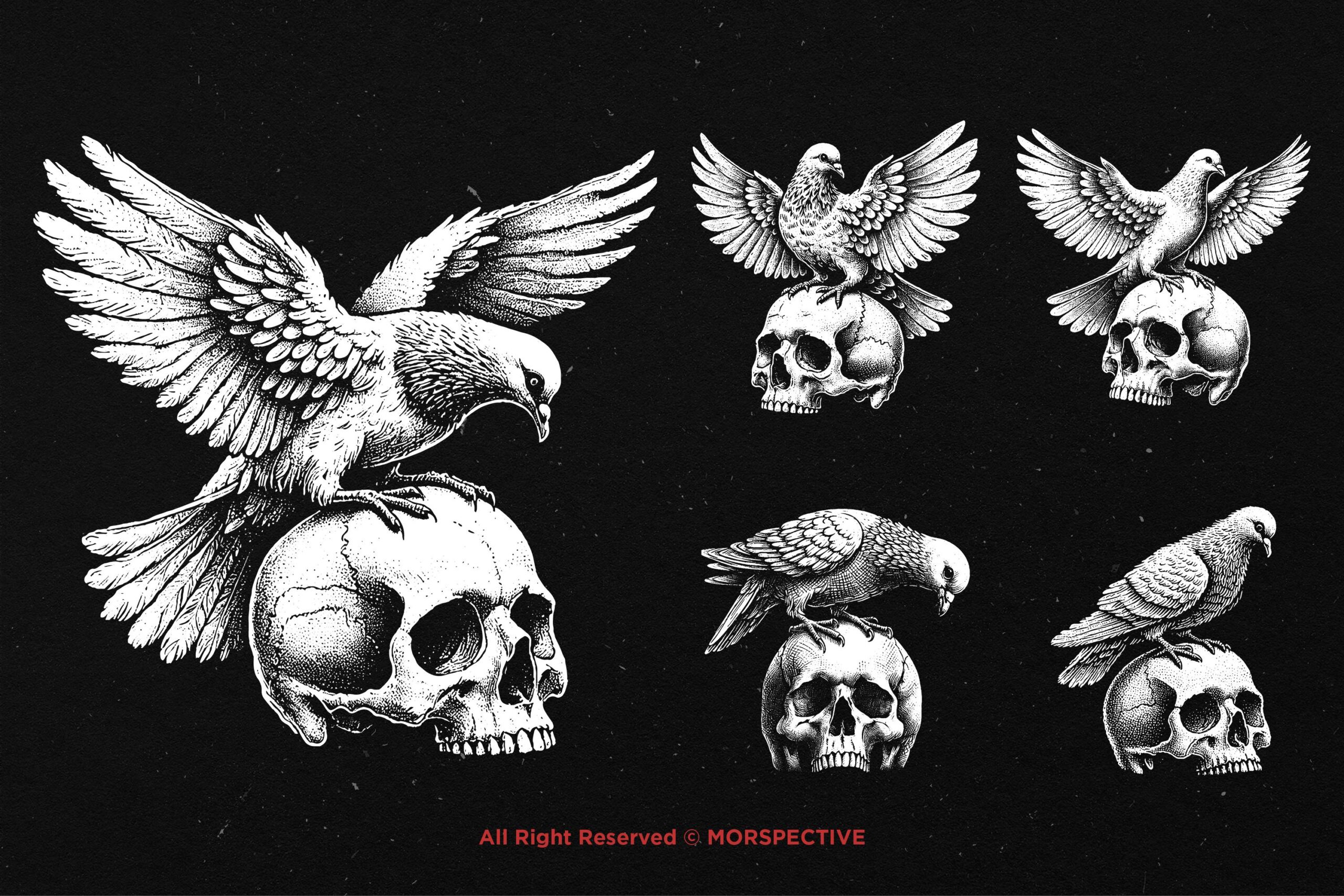10 Bundle Dark Art Dove Standing on Skull 4 10 Bundle Dark Art Dove Standing on Skull - Image 4