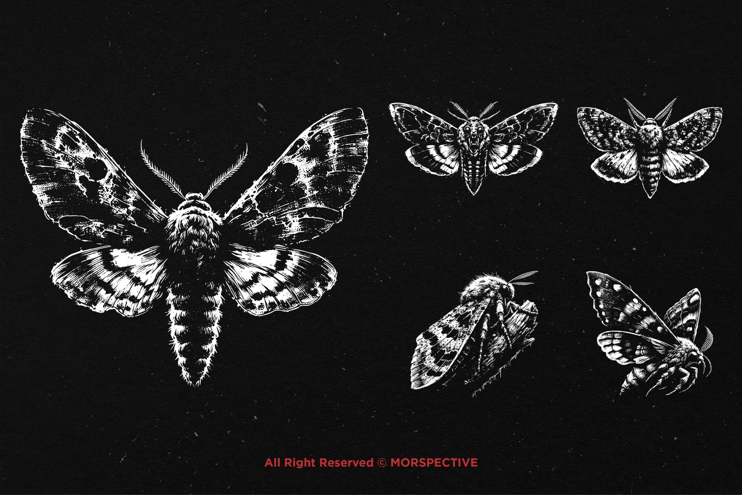 10 Bundle Dark Art Moth - Image 4