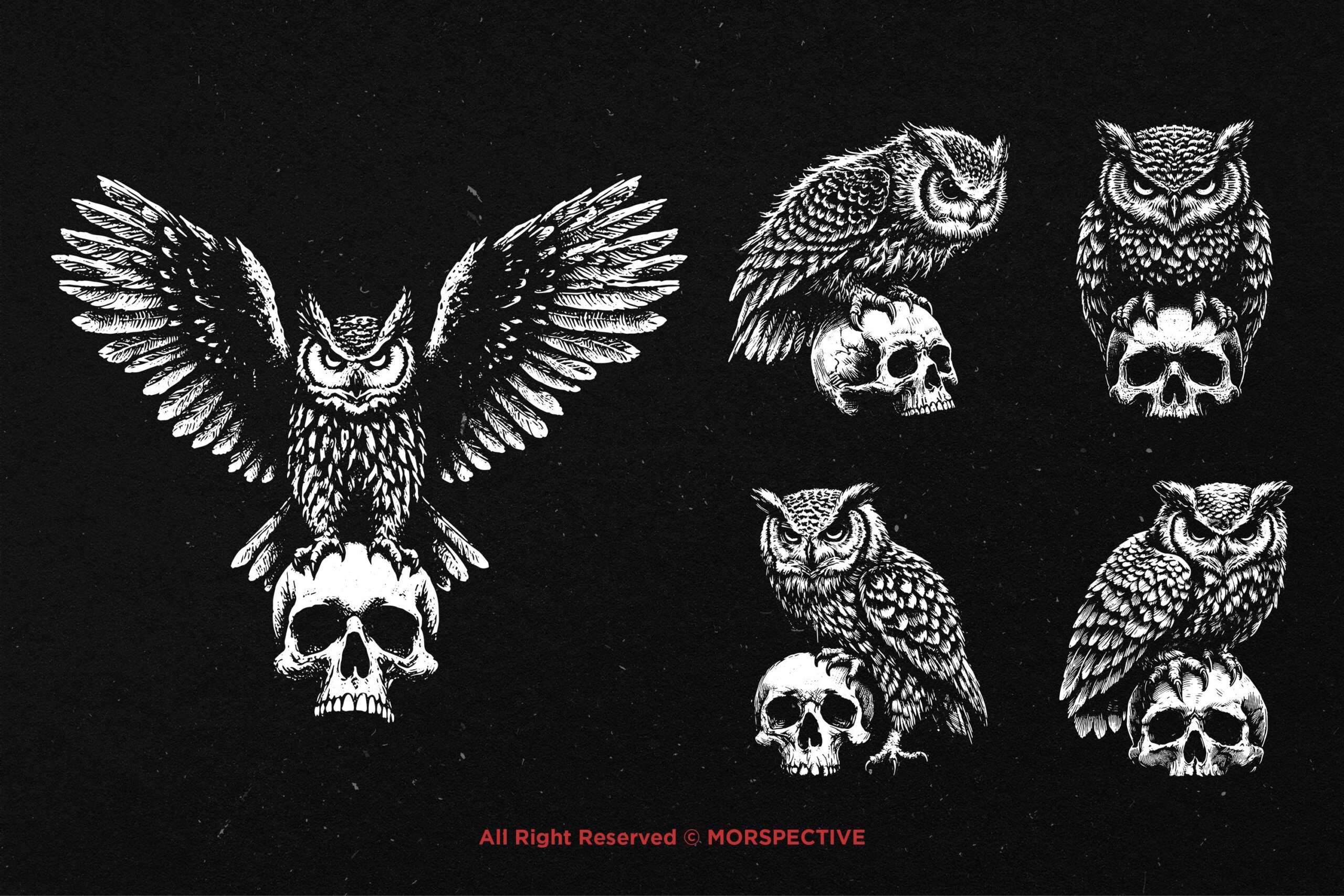 10 Bundle Dark Art Owl Bird Skull - Image 4