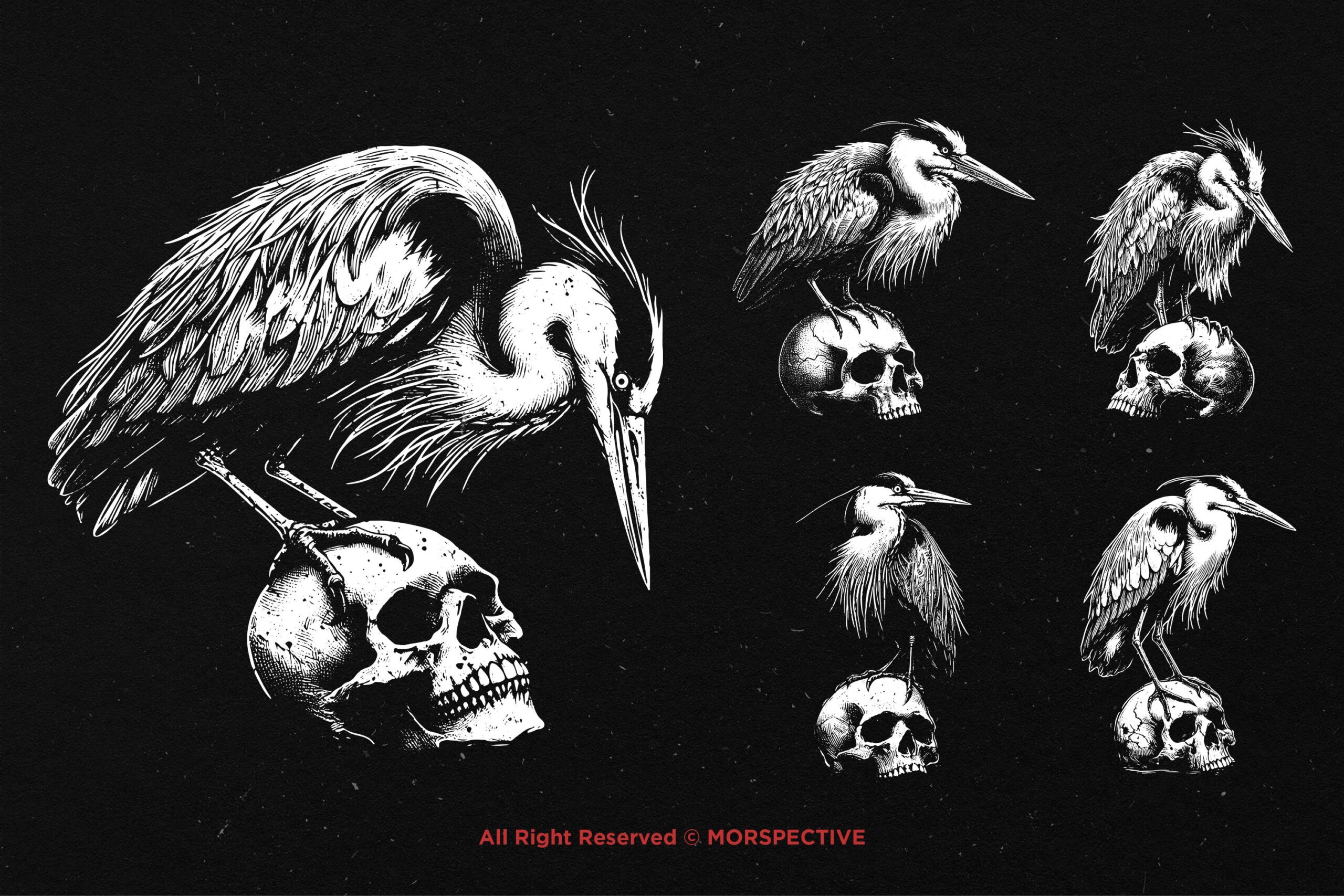 10 Bundle Dark Art Heron Bird Skull - Image 4