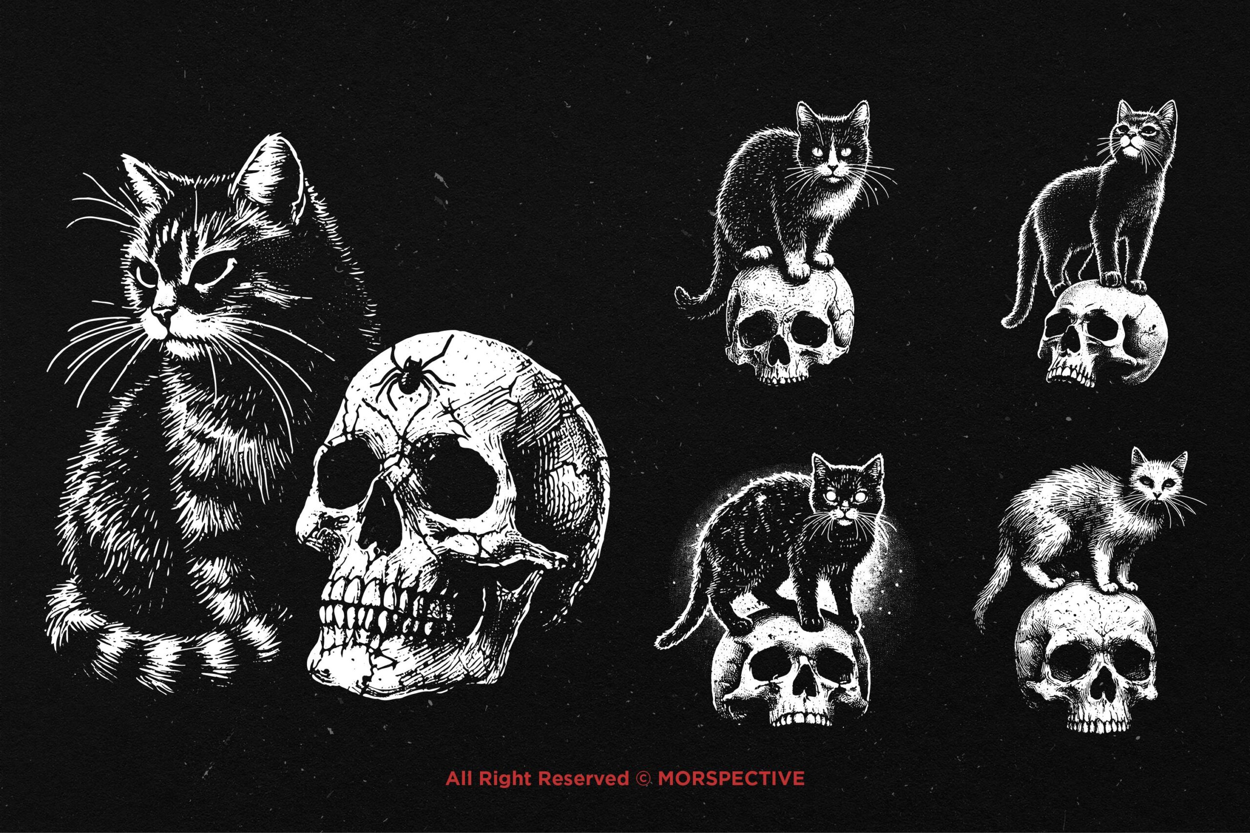 10 Bundle Dark Art Skull Cat - Image 4