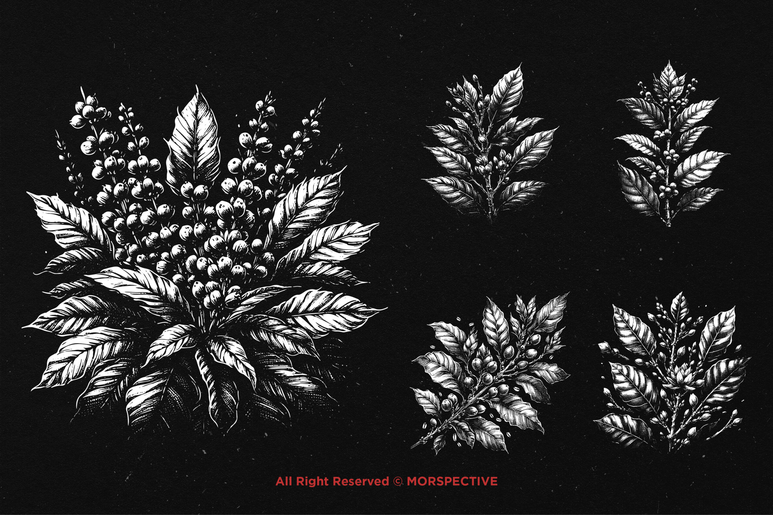 10 Bundle Dark Art Coffee Tree - Image 4