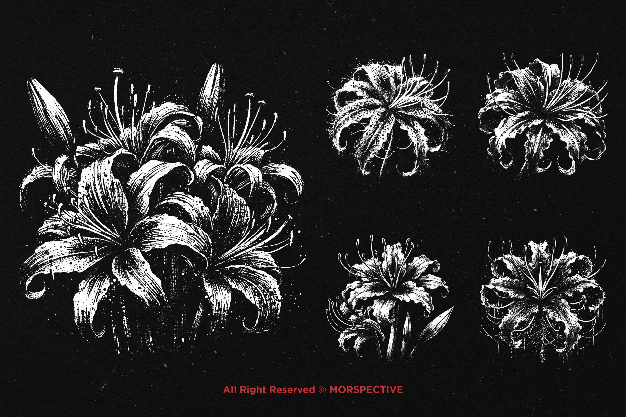 10 Bundle Dark Art Spider Lily Flower - Image 4