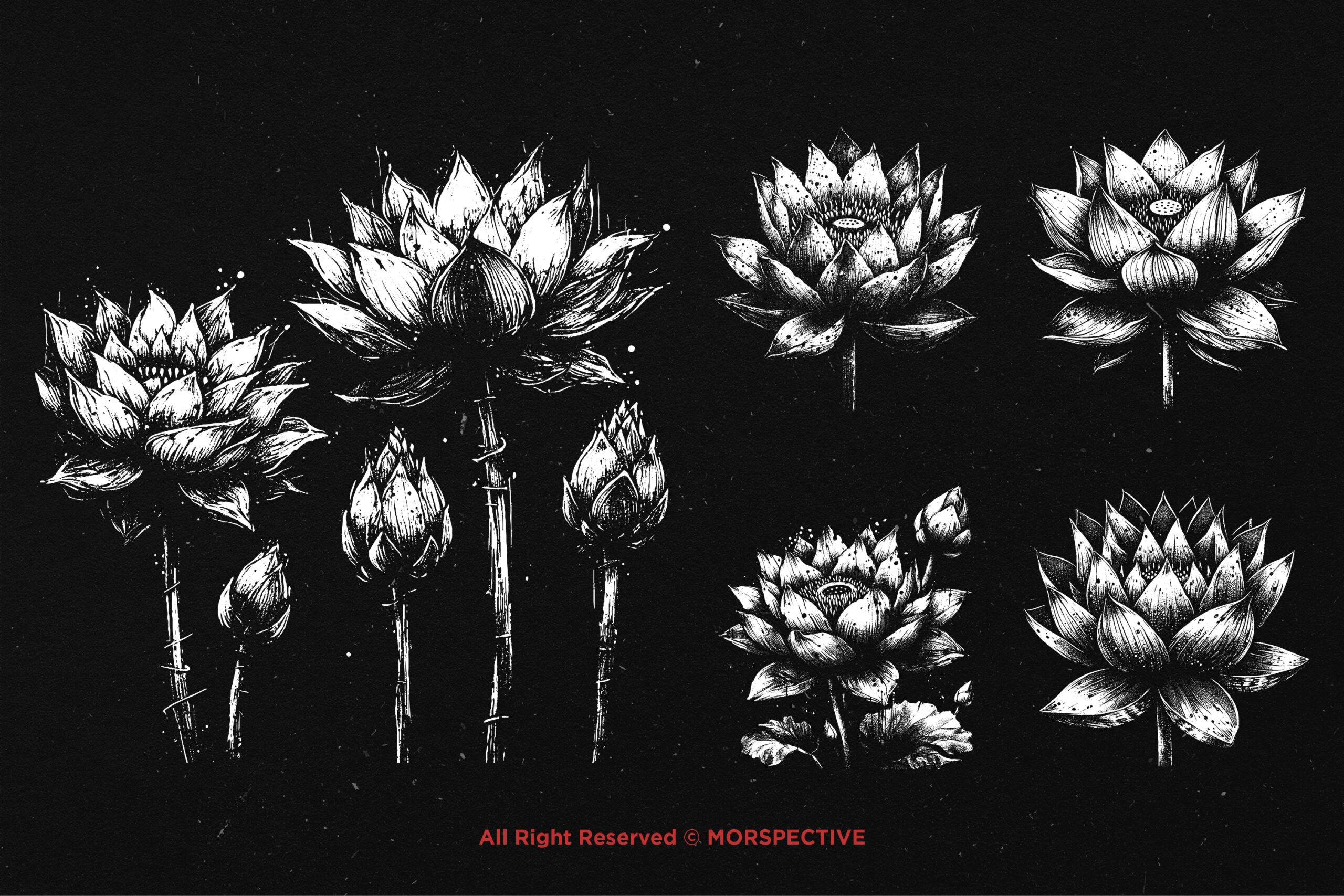 10 Bundle Dark Art Lotus Flower 4 10 Bundle Dark Art Lotus Flower - Image 4