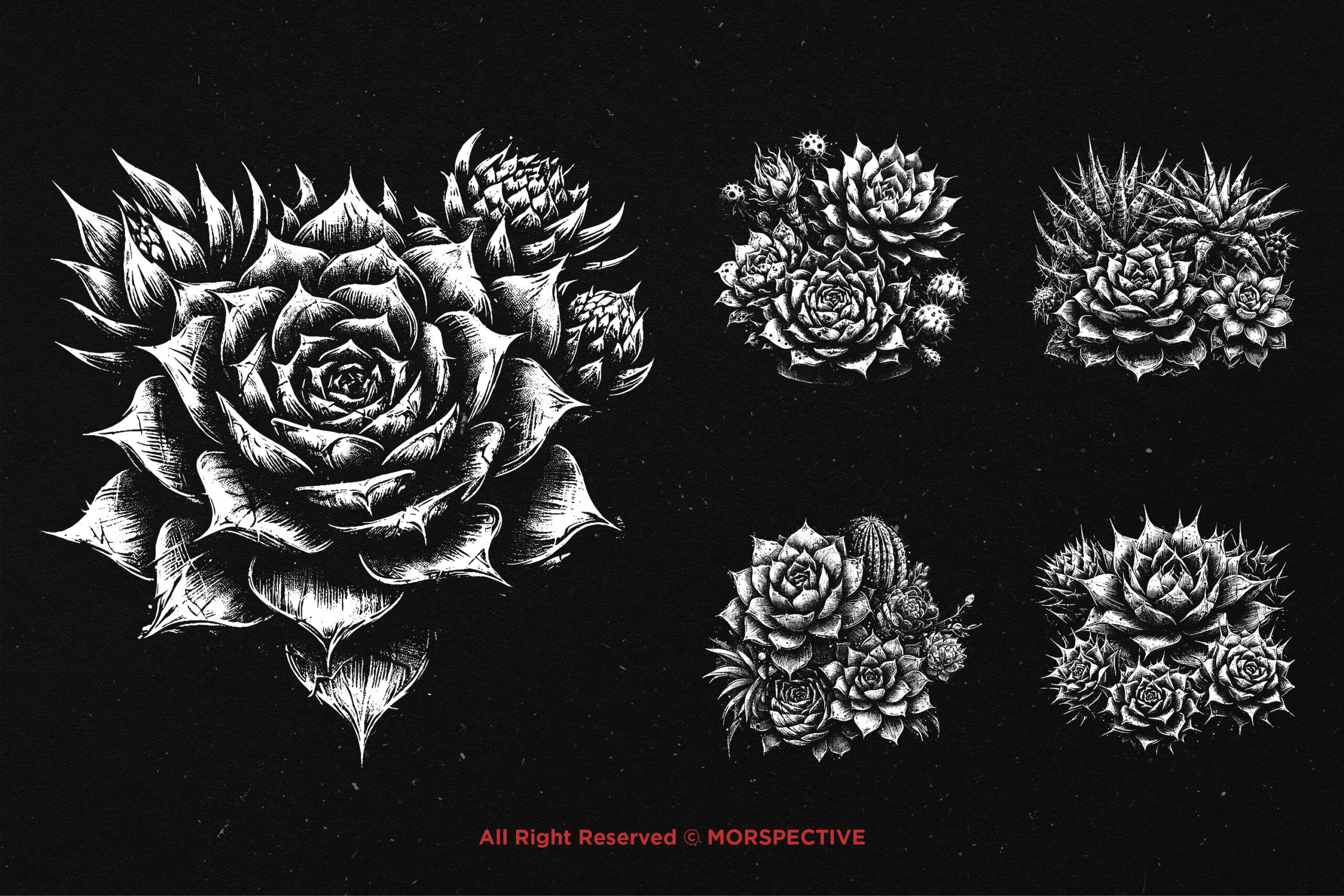 10 Bundle Dark Art Succulent Cactus 4 10 Bundle Dark Art Succulent Cactus - Image 4