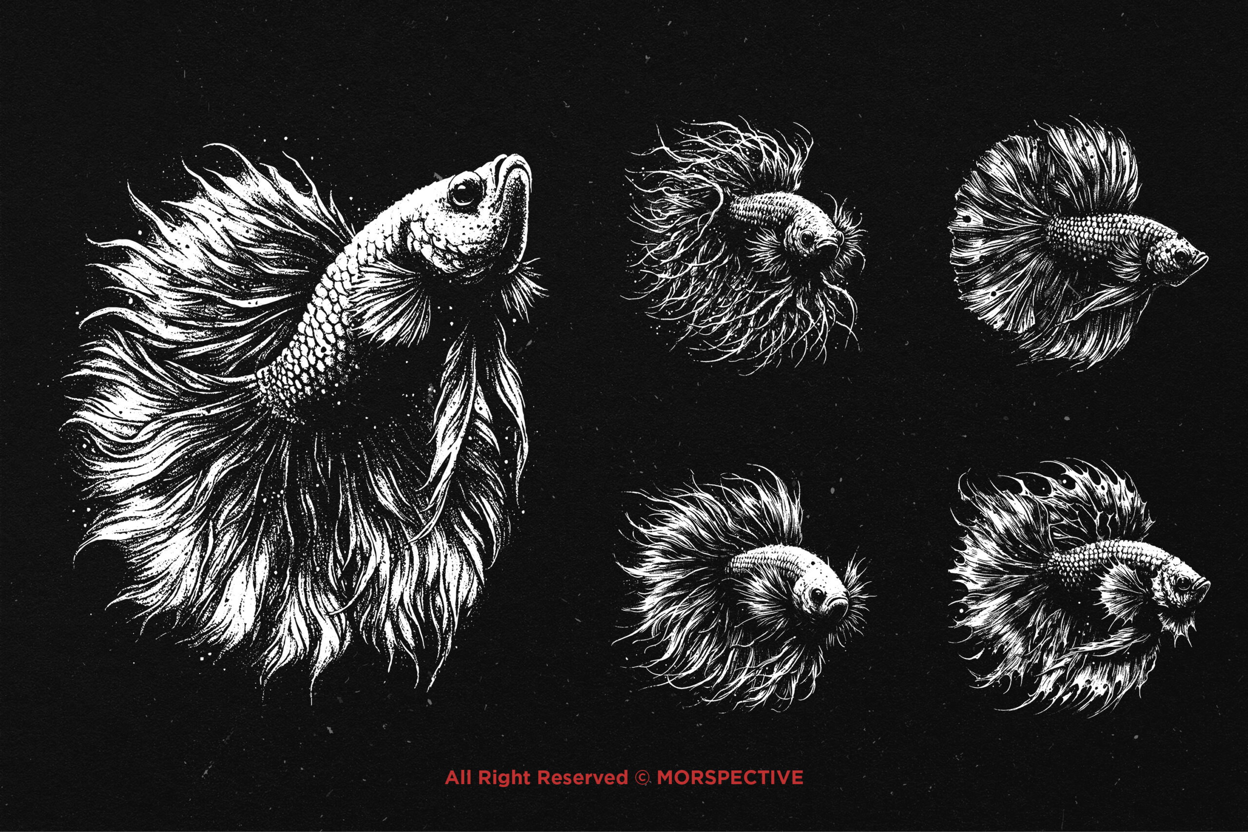 10 Bundle Dark Art Betta Fish 4 10 Bundle Dark Art Betta Fish - Image 4