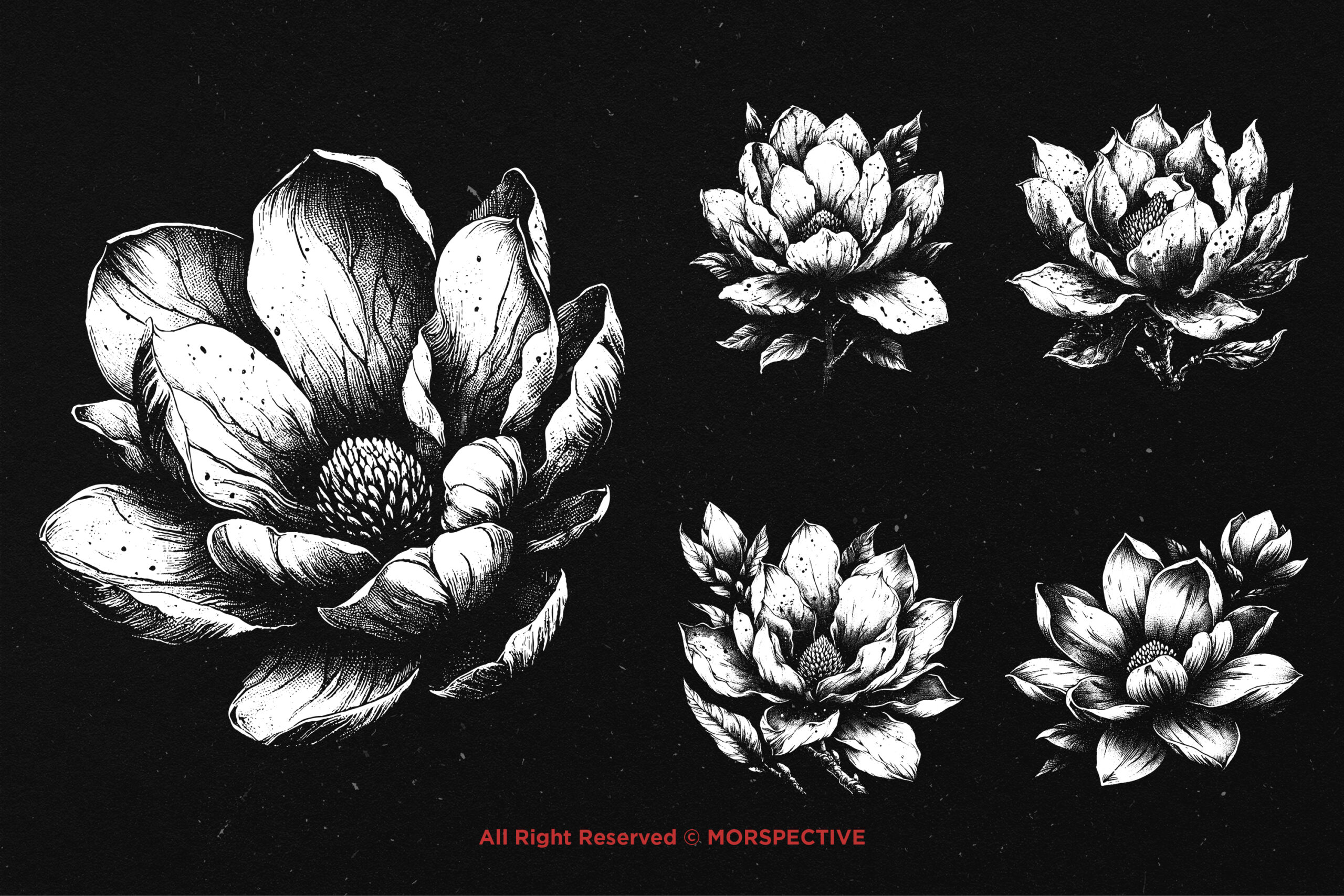 10 Bundle Dark Art Magnolia Flower 4 10 Bundle Dark Art Magnolia Flower - Image 4