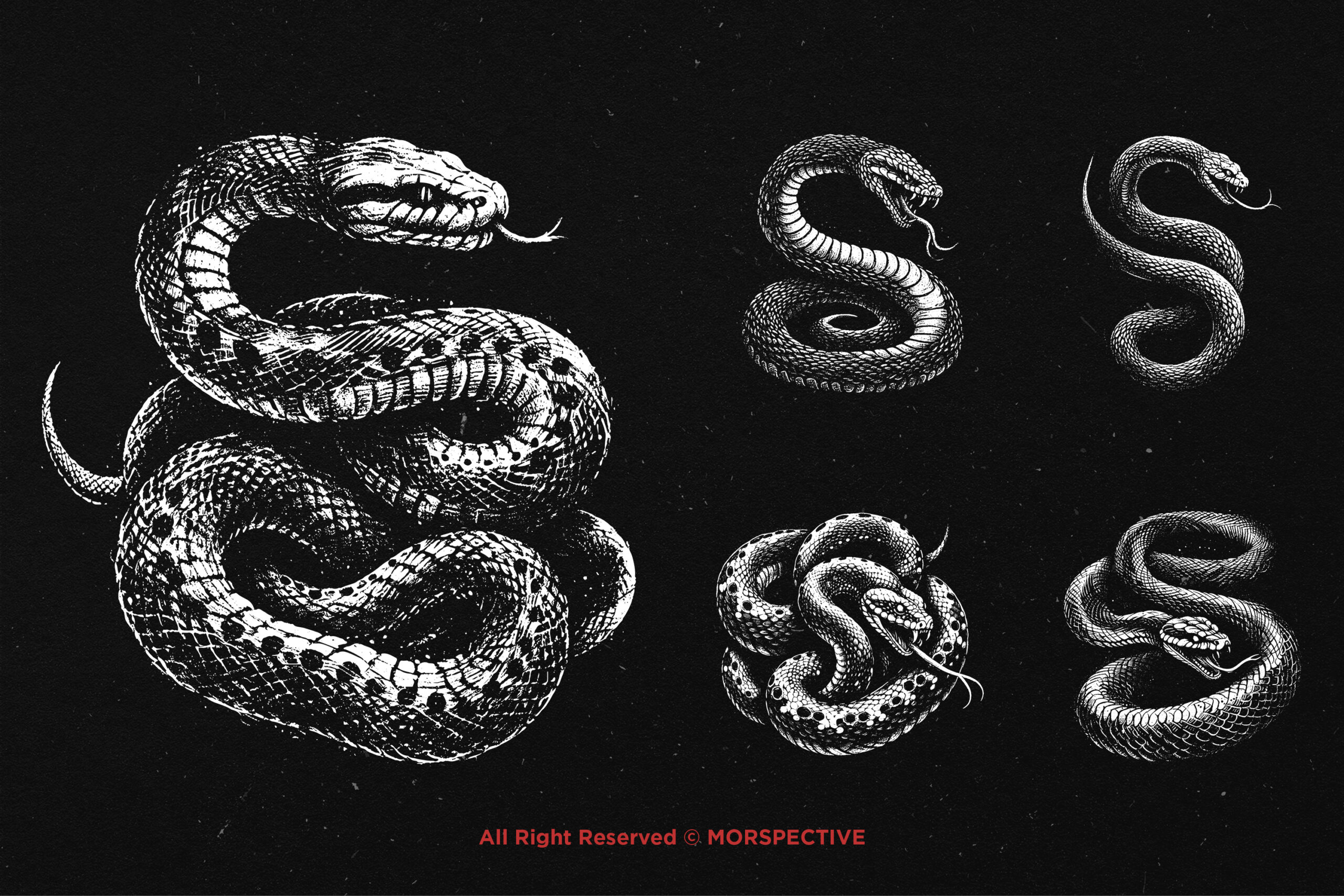 10 Bundle Dark Art Python Snake 4 10 Bundle Dark Art Python Snake - Image 4