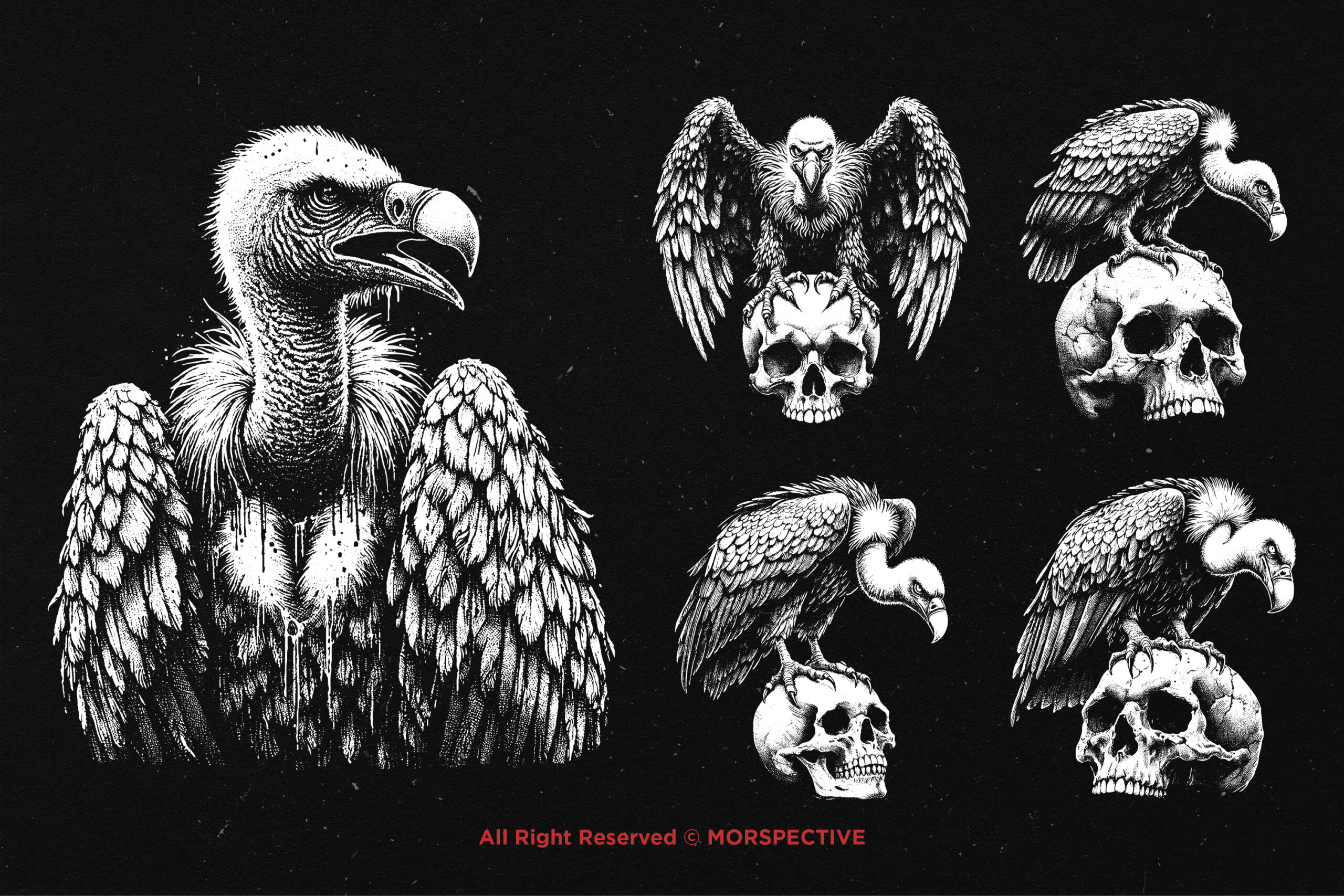 10 Bundle Dark Art Vultur Bird 4 10 Bundle Dark Art Vultur Bird - Image 4