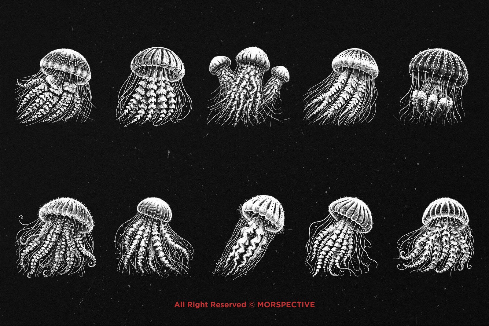10 Bundle Dark Art Jellyfish 5 10 Bundle Dark Art Jellyfish - Image 5