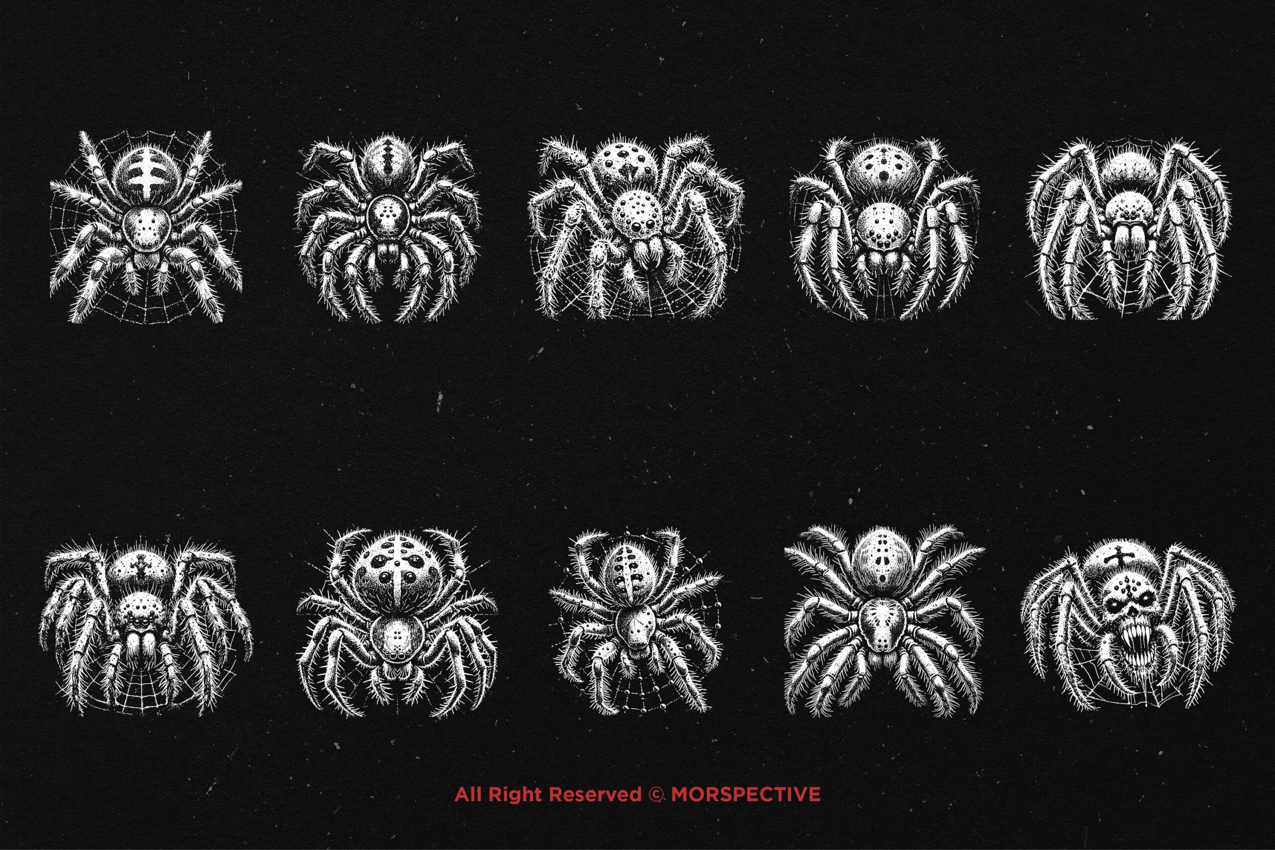 10 Bundle Dark Art Spider - Image 5