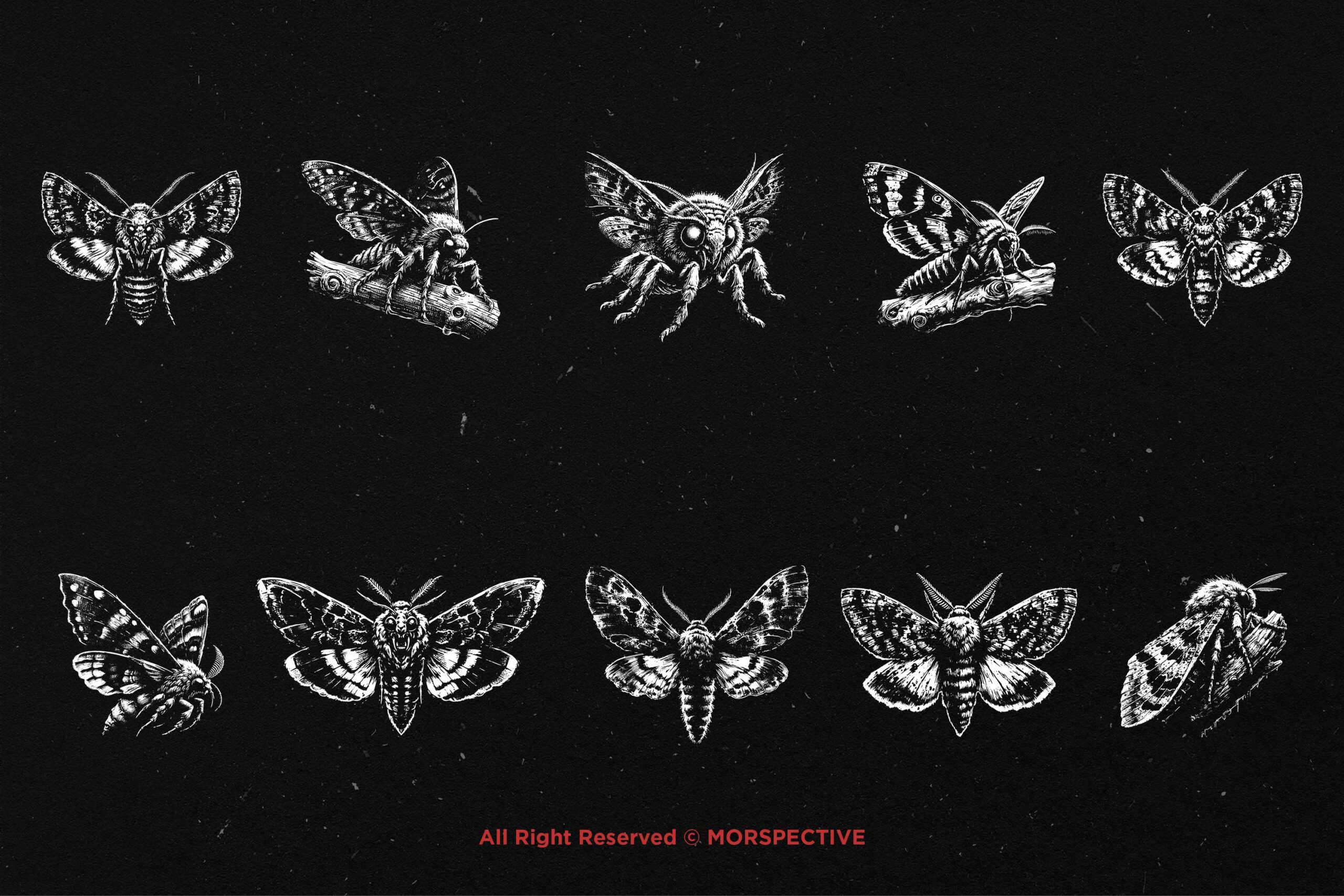 10 Bundle Dark Art Moth - Image 5