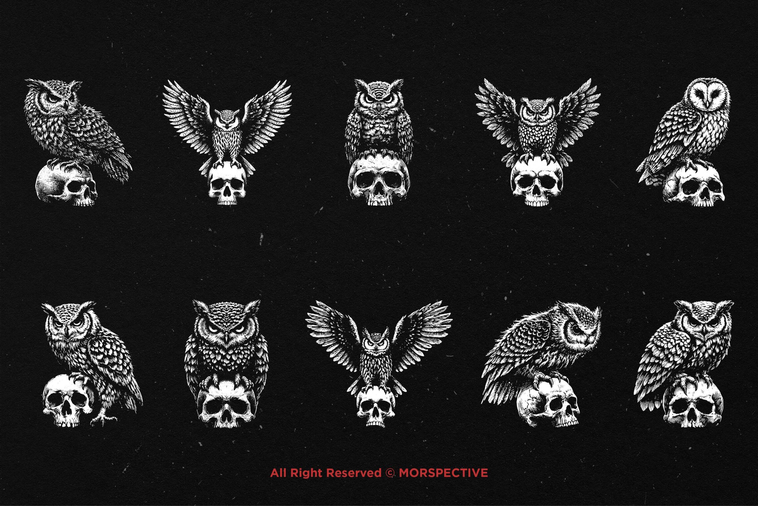 10 Bundle Dark Art Owl Bird Skull - Image 5