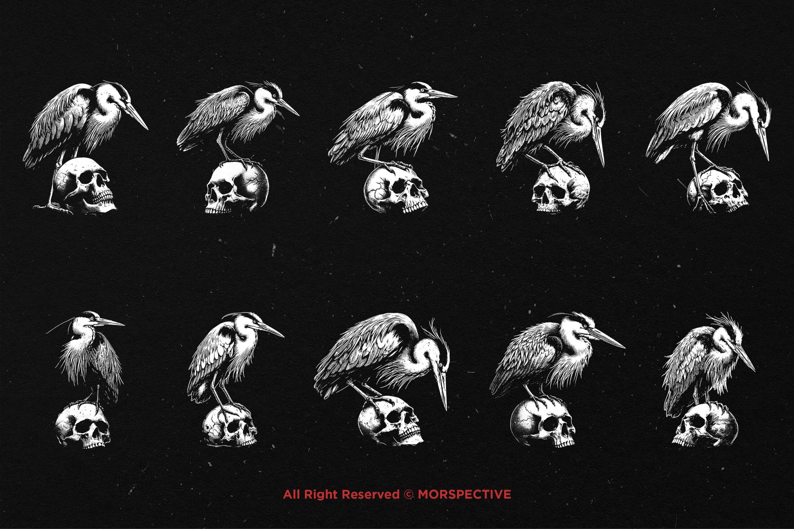 10 Bundle Dark Art Heron Bird Skull - Image 5