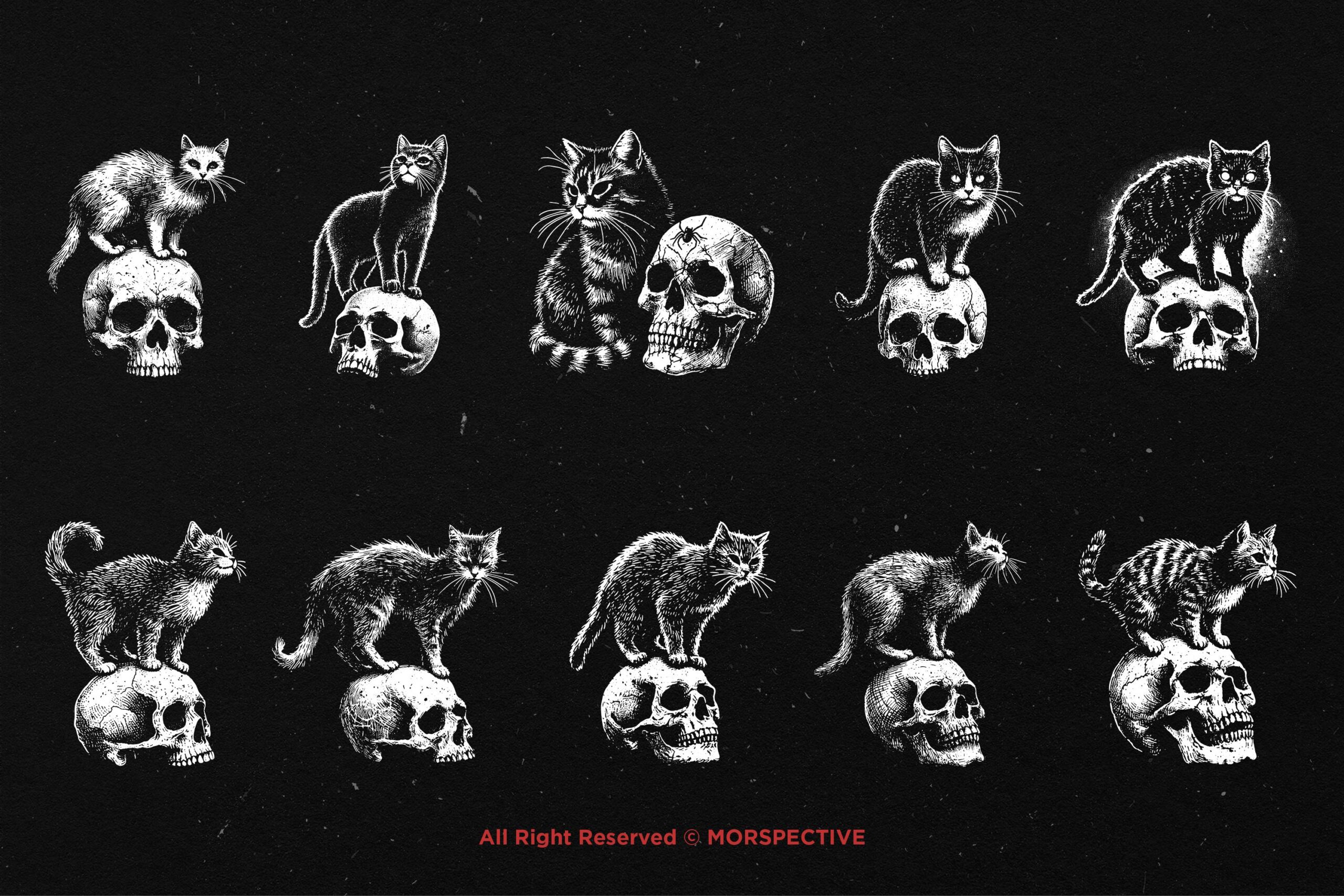 10 Bundle Dark Art Skull Cat - Image 5