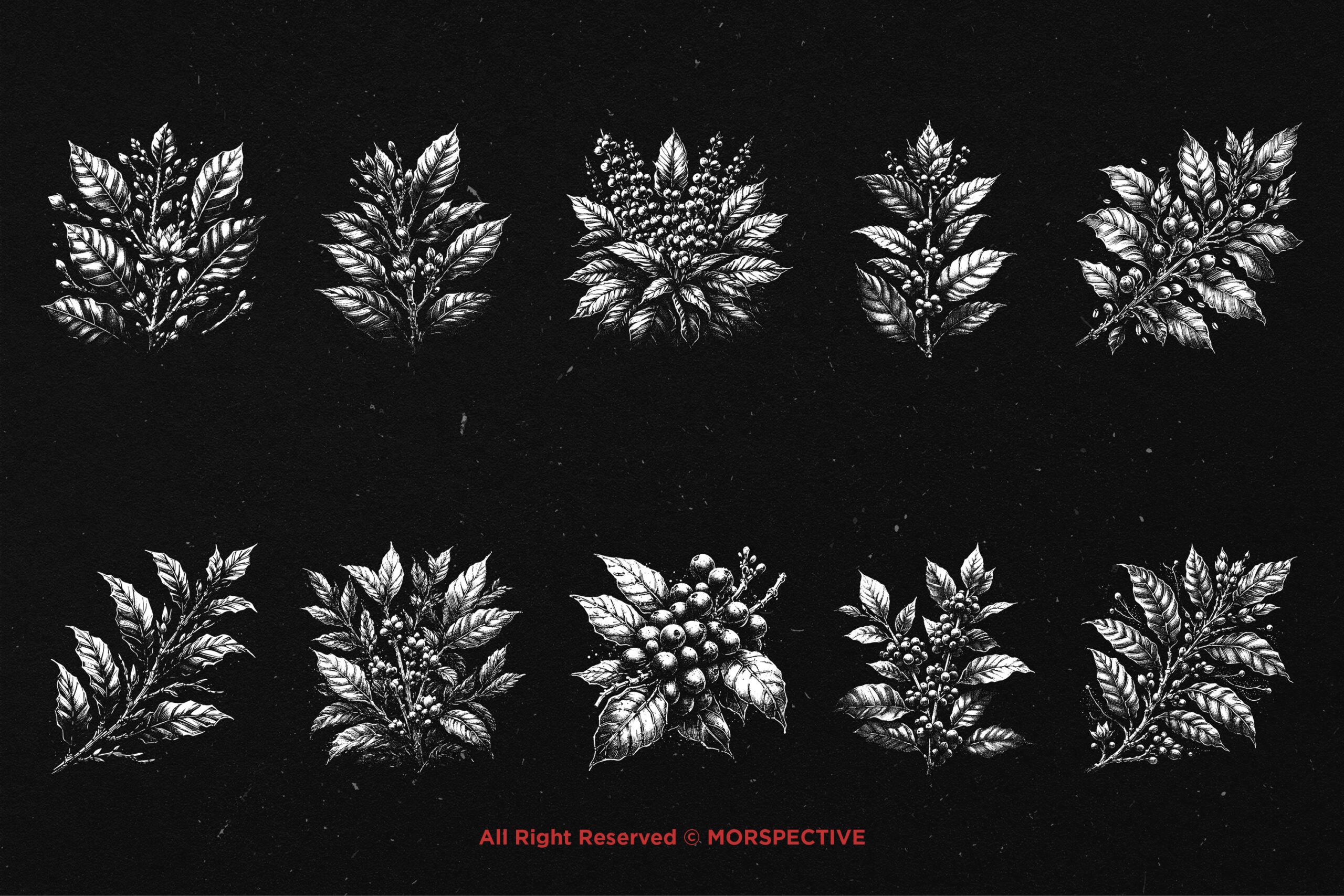 10 Bundle Dark Art Coffee Tree - Image 5