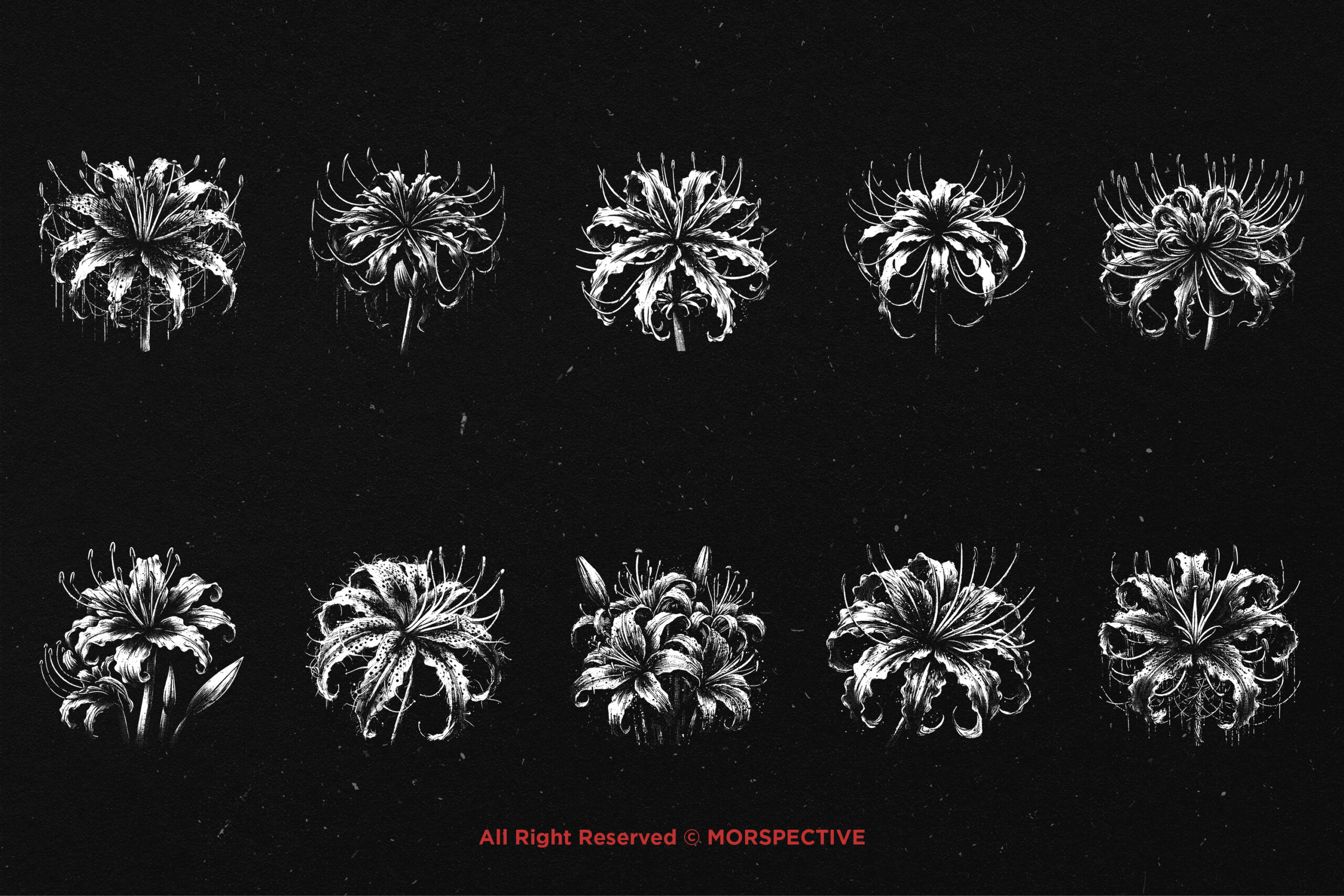10 Bundle Dark Art Spider Lily Flower - Image 5