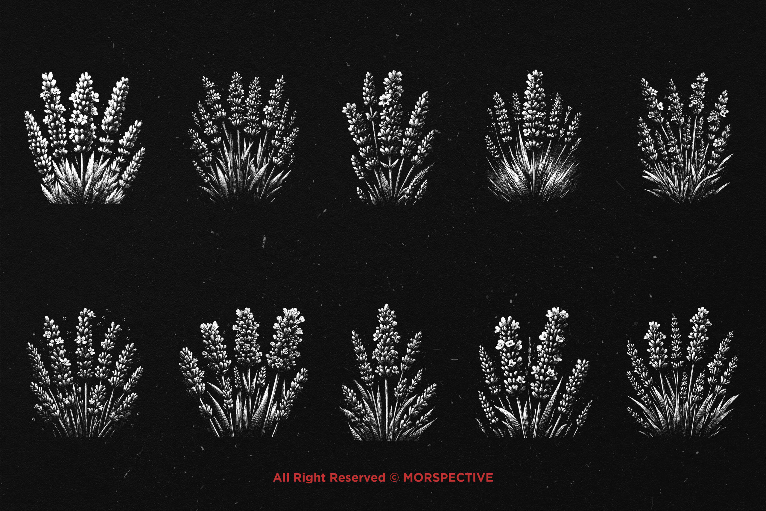 10 Bundle Dark Art Lavender Flower 5 10 Bundle Dark Art Lavender Flower - Image 5