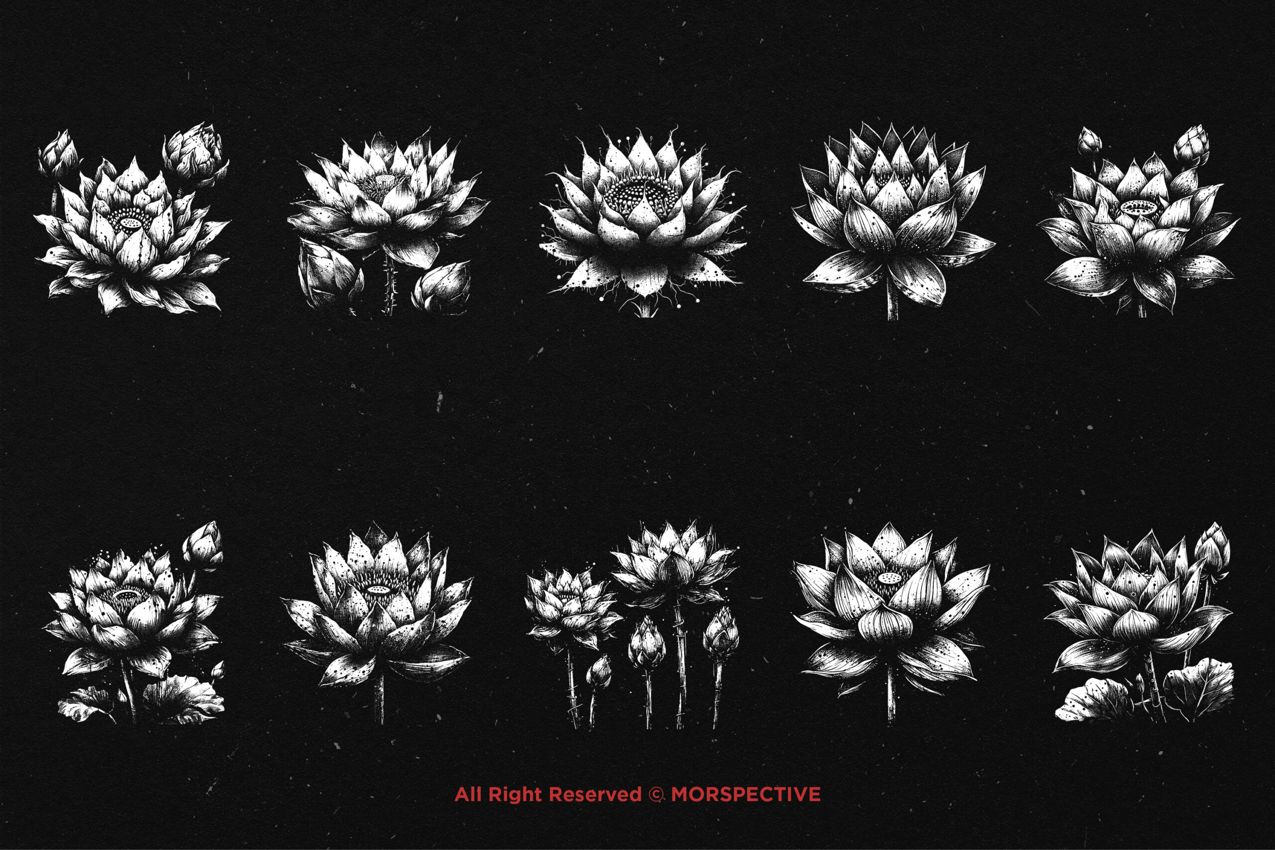 10 Bundle Dark Art Lotus Flower 5 10 Bundle Dark Art Lotus Flower - Image 5