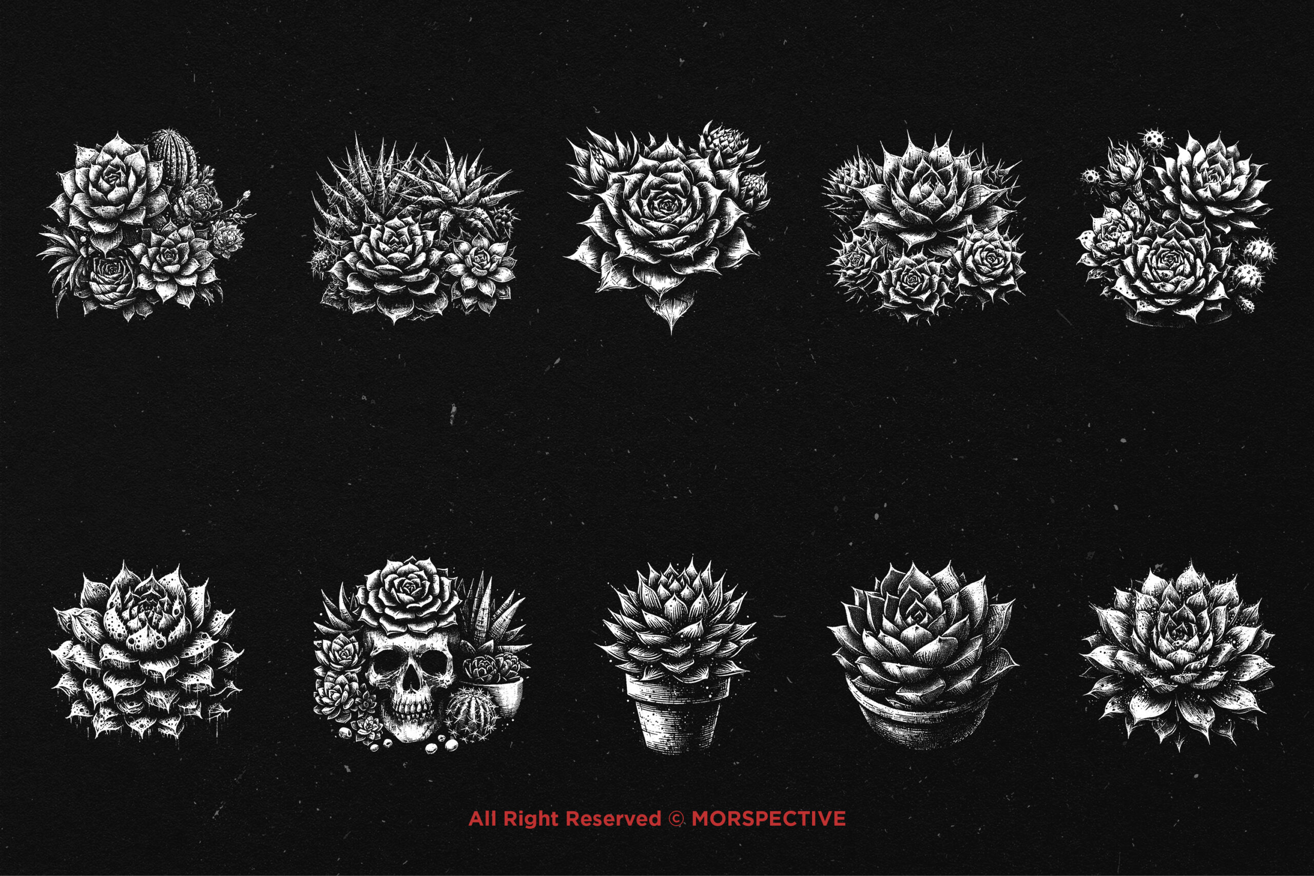 10 Bundle Dark Art Succulent Cactus 5 10 Bundle Dark Art Succulent Cactus - Image 5