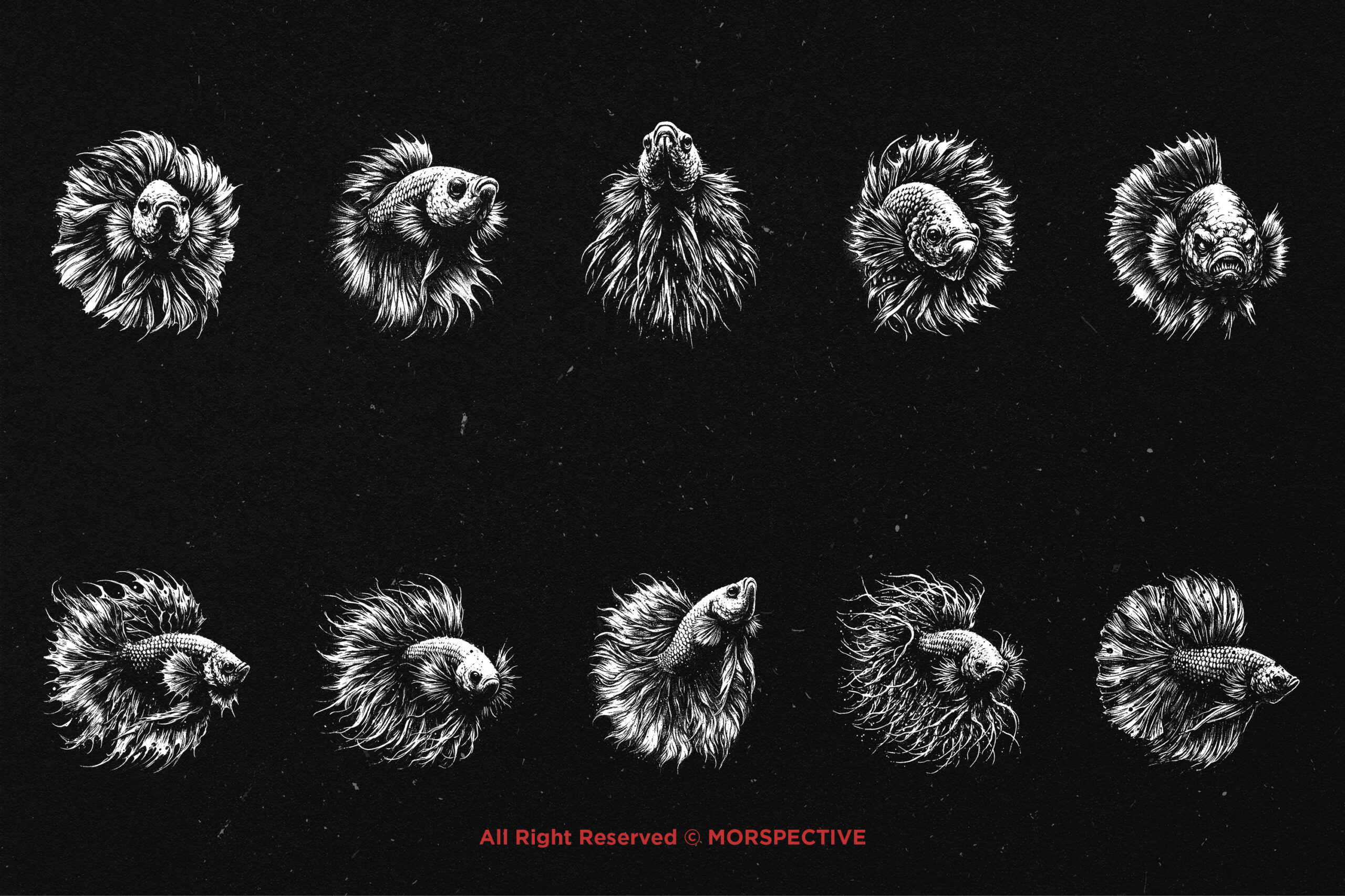 10 Bundle Dark Art Betta Fish 5 10 Bundle Dark Art Betta Fish - Image 5
