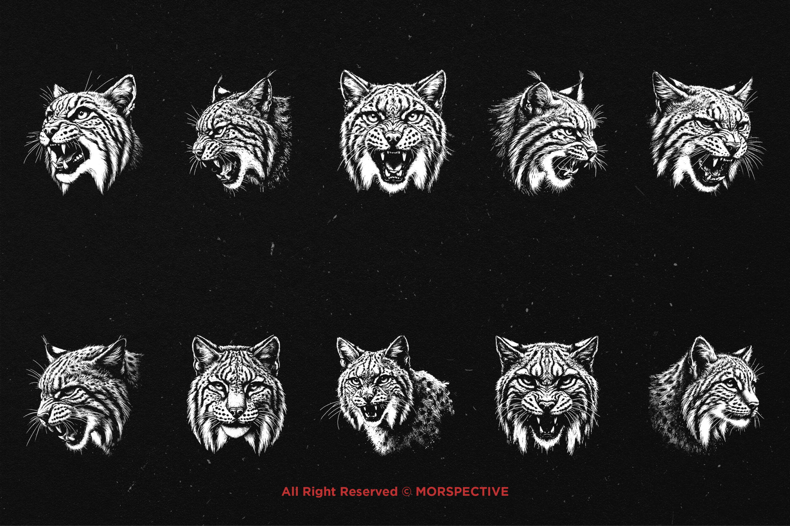 10 Bundle Dark Art Bobcat Lynx 5 10 Bundle Dark Art Bobcat Lynx - Image 5