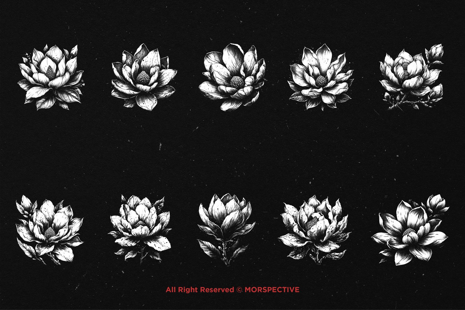 10 Bundle Dark Art Magnolia Flower 5 10 Bundle Dark Art Magnolia Flower - Image 5