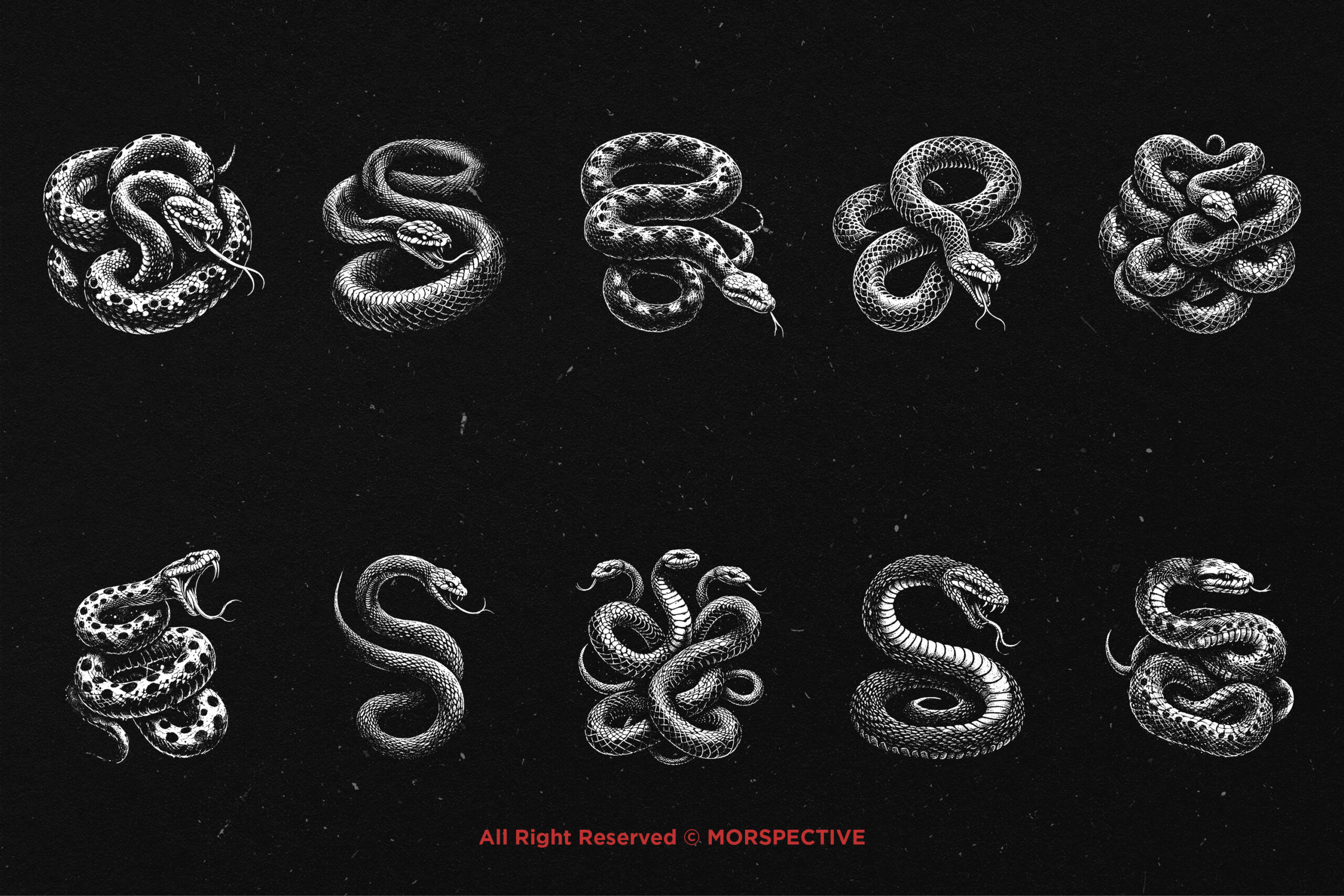 10 Bundle Dark Art Python Snake 5 10 Bundle Dark Art Python Snake - Image 5