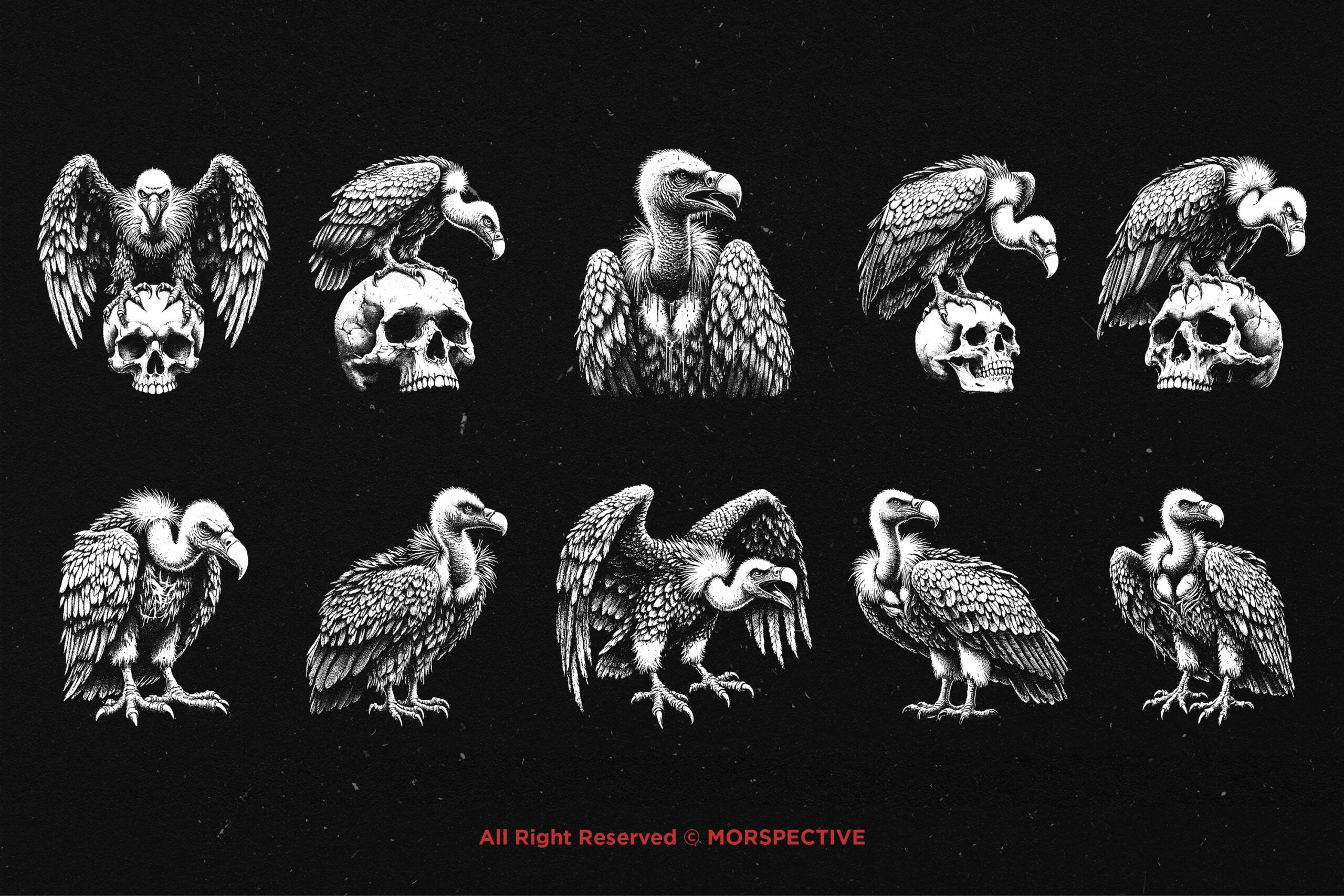 10 Bundle Dark Art Vultur Bird 5 10 Bundle Dark Art Vultur Bird - Image 5