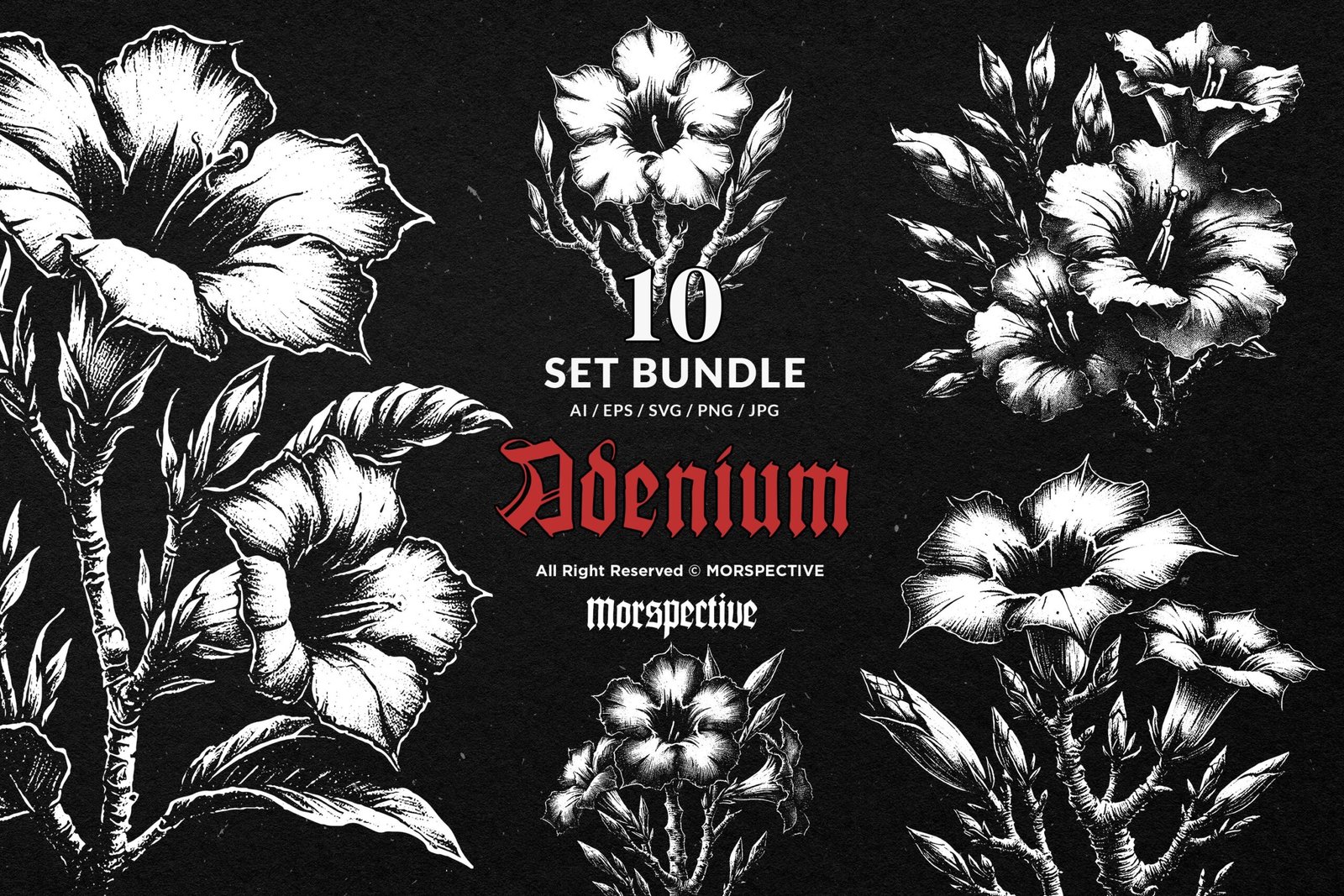 10 Bundle Dark Art Adenium Flower 1 10 Bundle Dark Art Adenium Flower