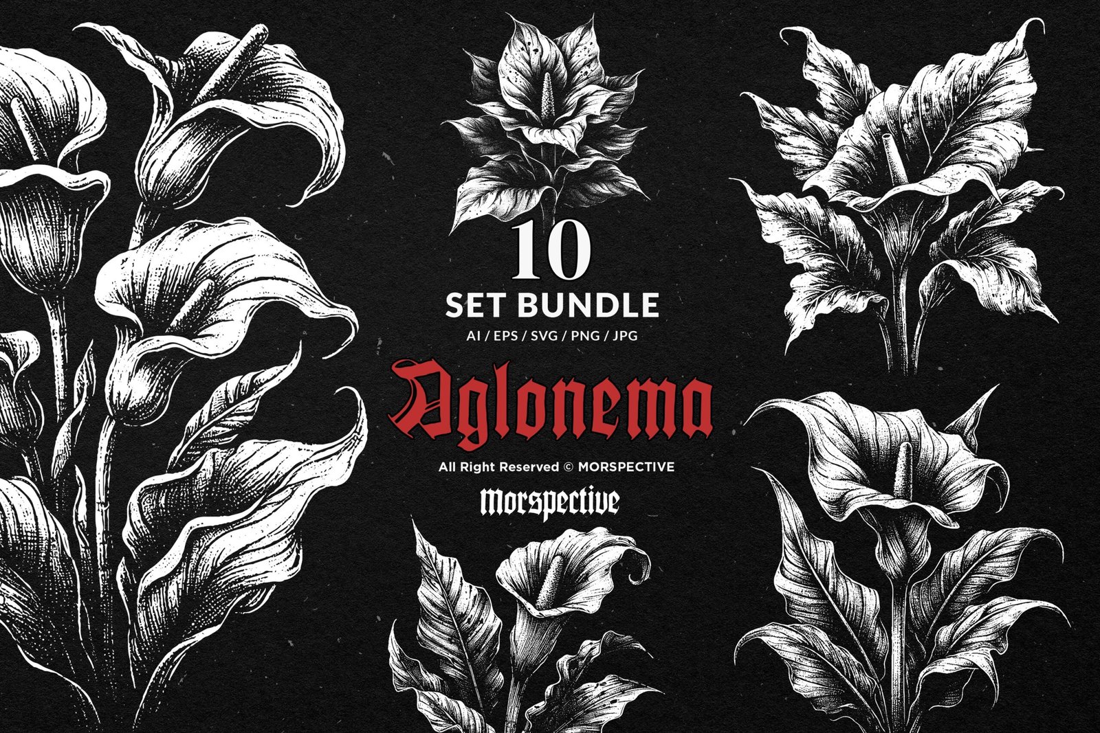 10 Bundle Dark Art Aglonema Flower 1 10 Bundle Dark Art Aglonema Flower