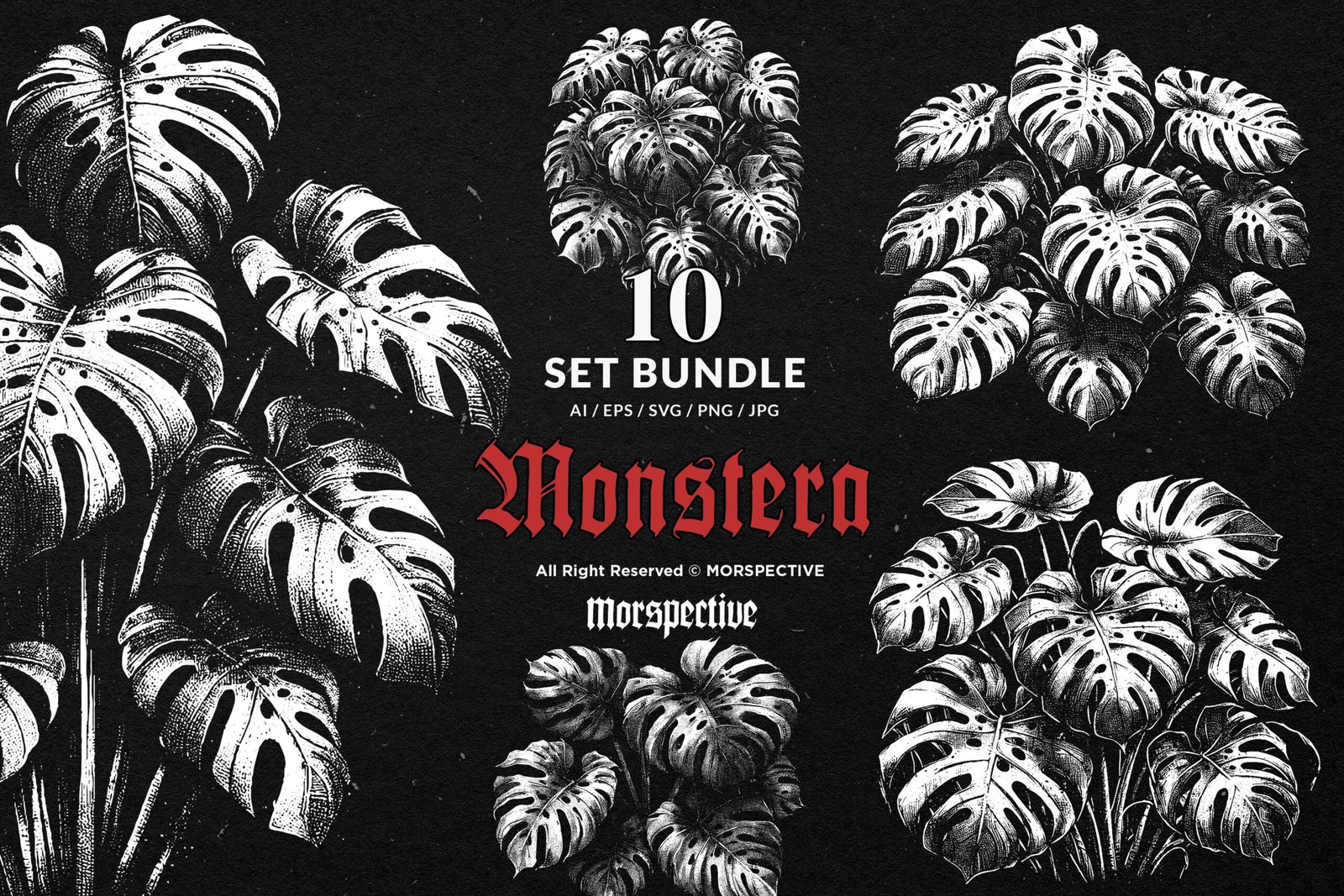 10 Bundle Dark Art Monstera 1 10 Bundle Dark Art Monstera